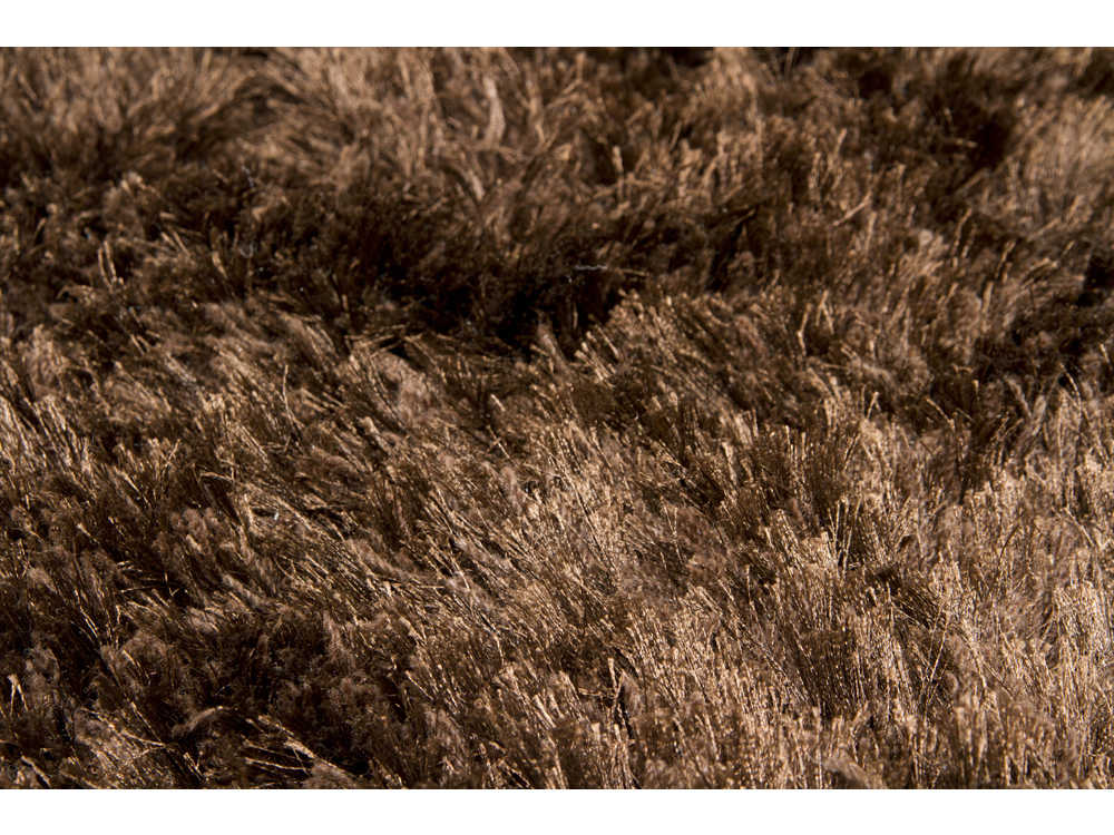 Chandra Celecot Shag Area Rug