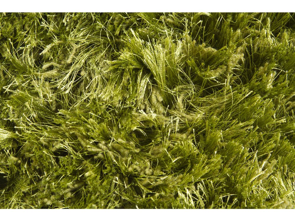 Chandra Celecot Shag Area Rug