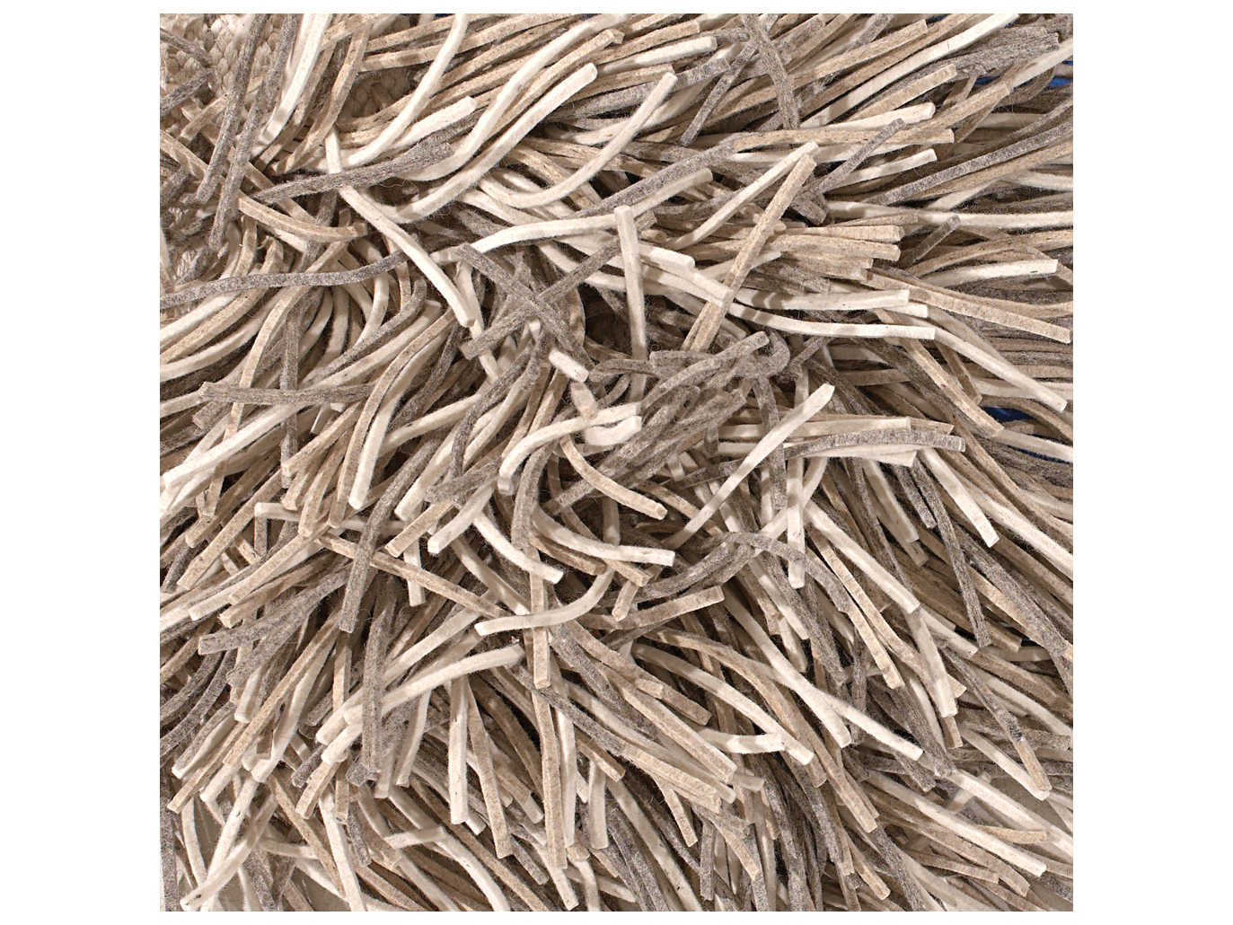 Chandra Cyrah Shag Area Rug