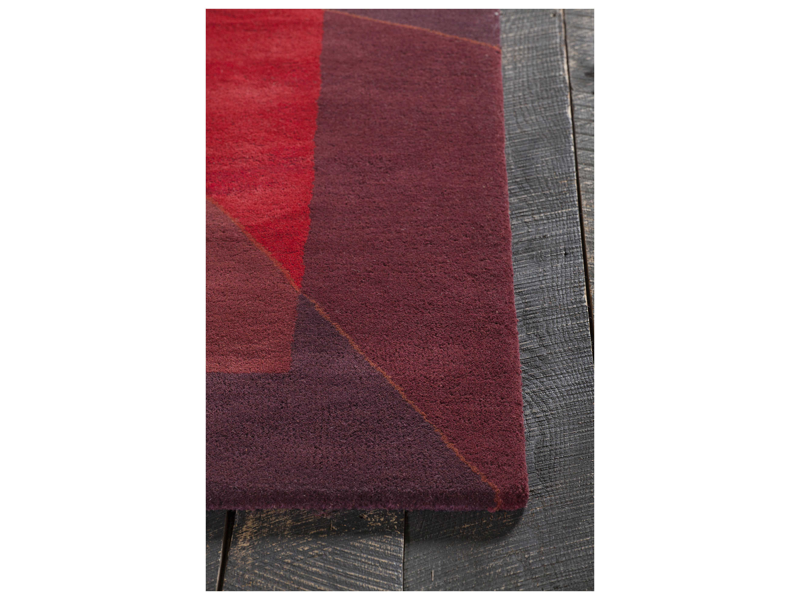 Chandra Daisa Geometric Area Rug