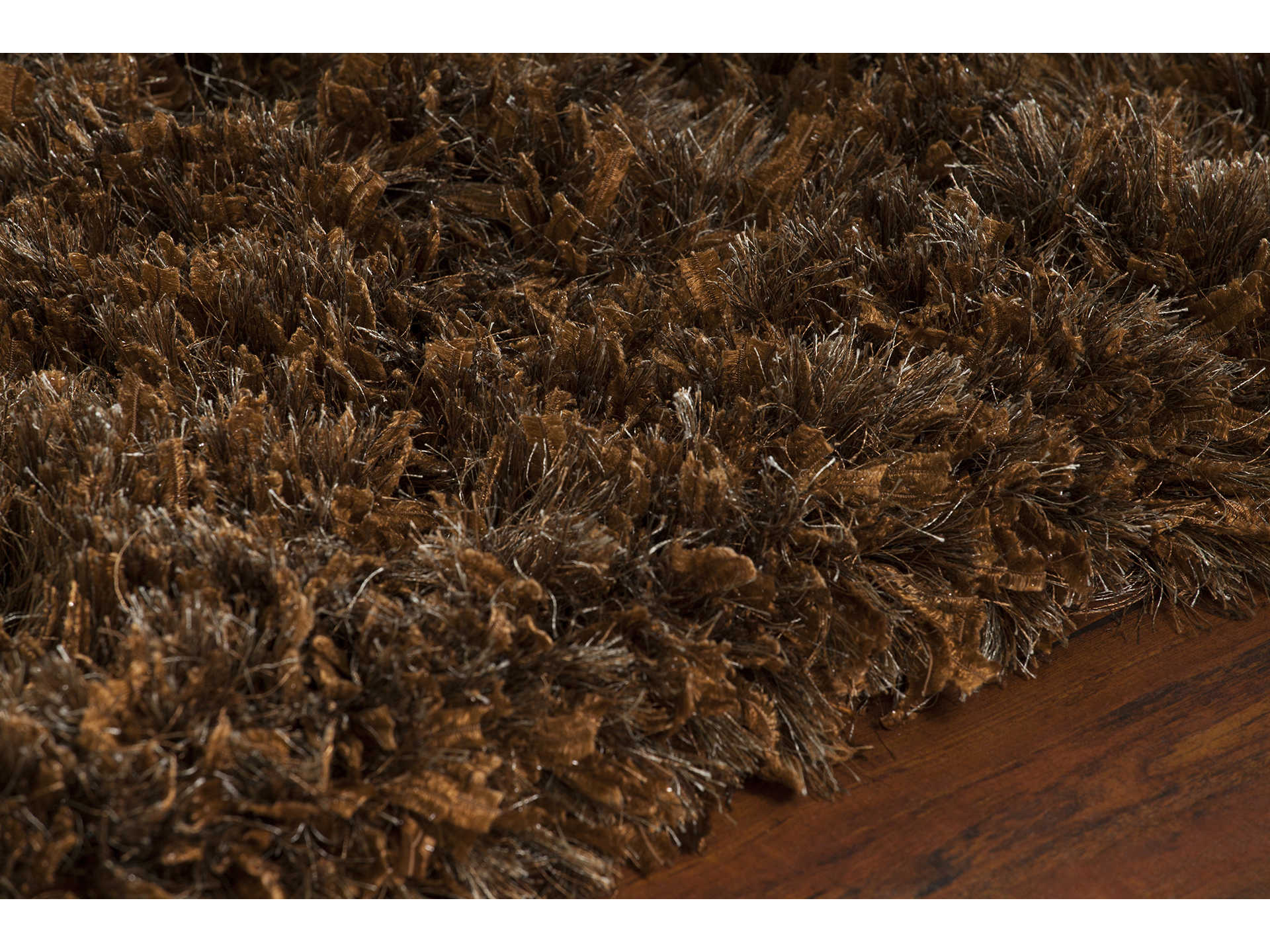 Chandra Diano Shag Area Rug