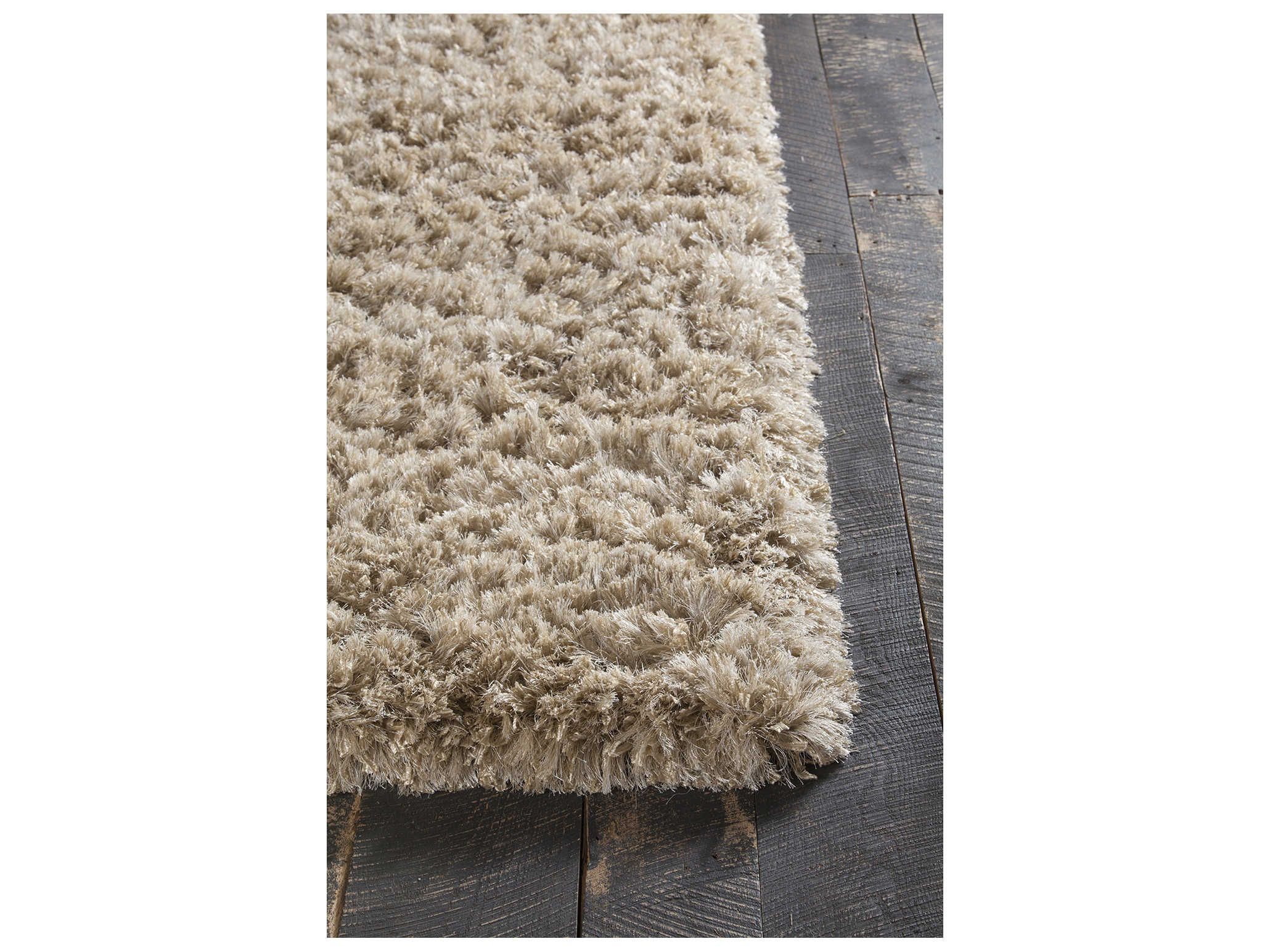 Chandra Diano Shag Area Rug