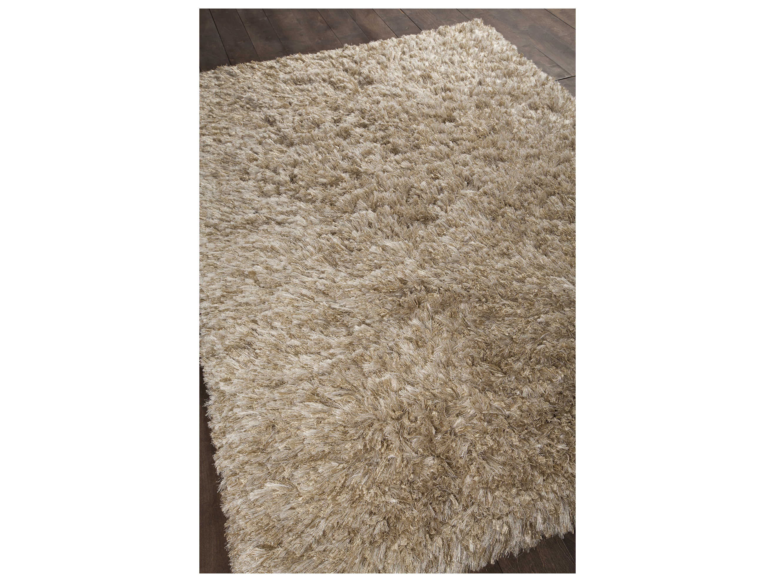 Chandra Diano Shag Area Rug