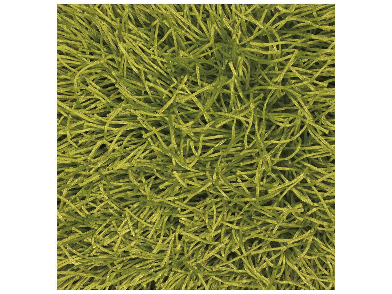 Chandra Duke Shag Area Rug