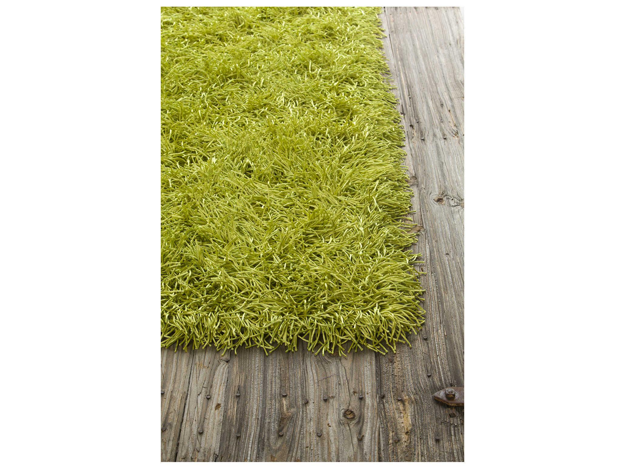 Chandra Duke Shag Area Rug