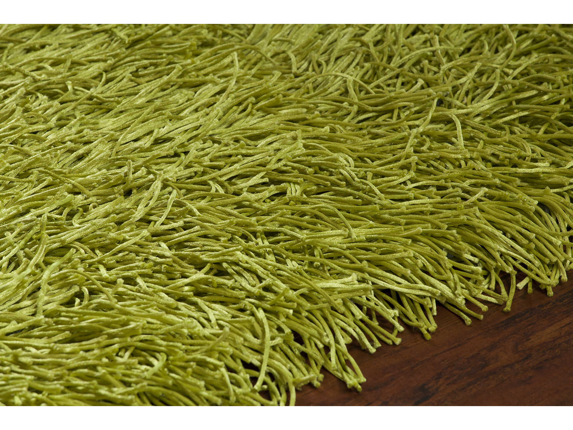 Chandra Duke Shag Area Rug