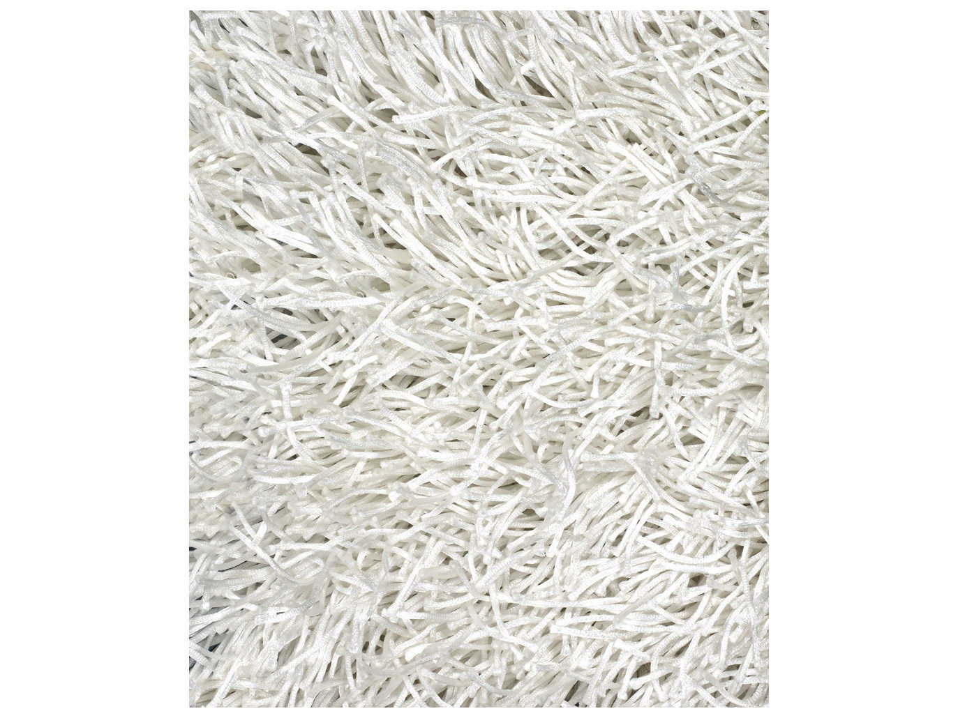 Chandra Duke Shag Area Rug