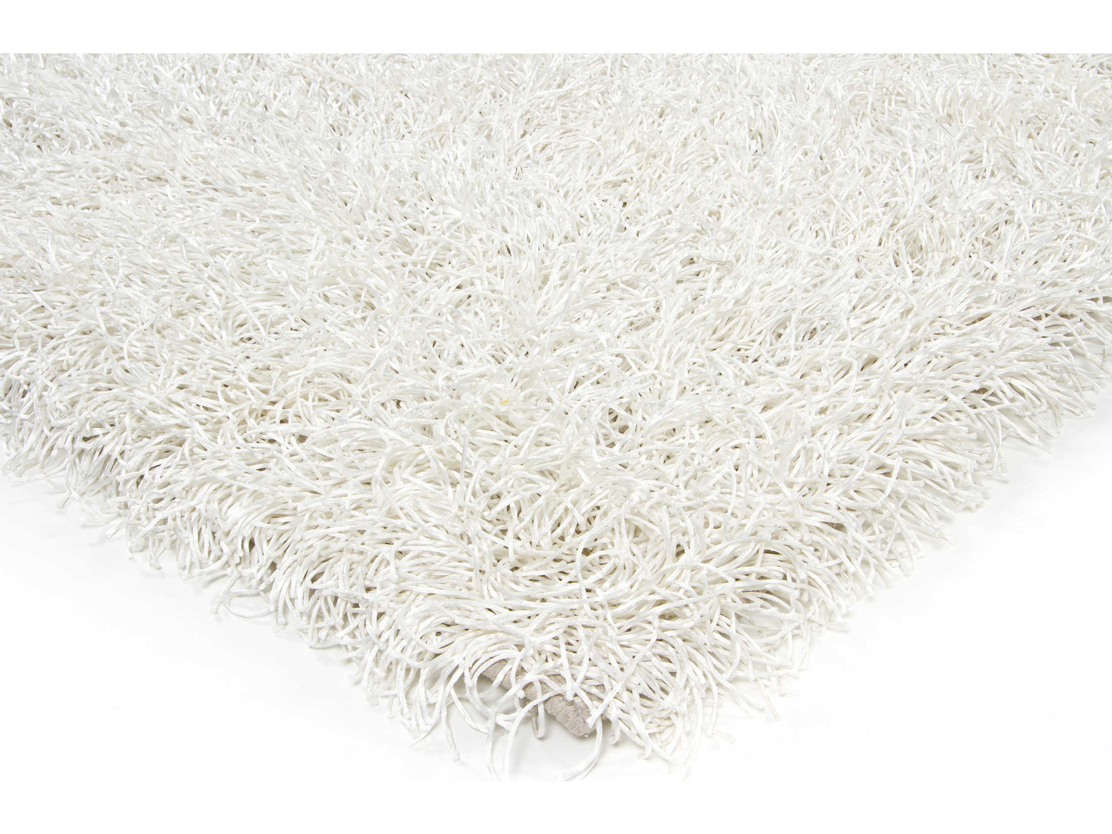 Chandra Duke Shag Area Rug
