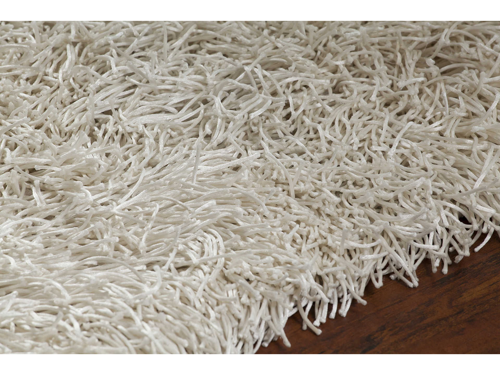 Chandra Duke Shag Area Rug