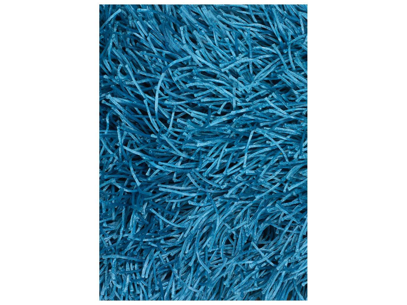 Chandra Duke Shag Area Rug