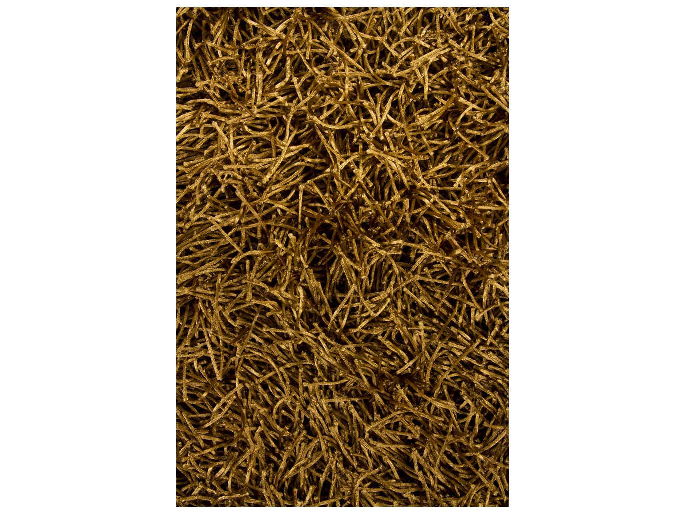 Chandra Duke Shag Area Rug