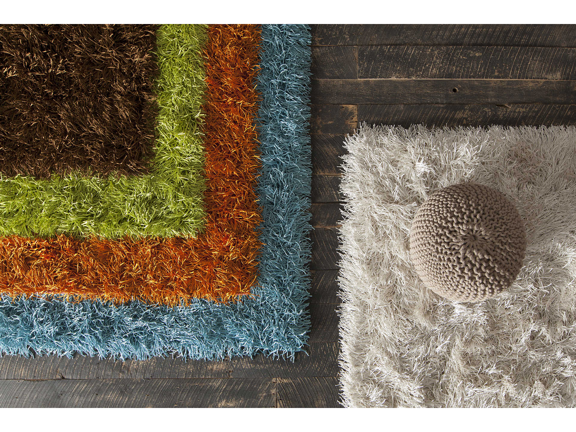 Chandra Duke Shag Area Rug