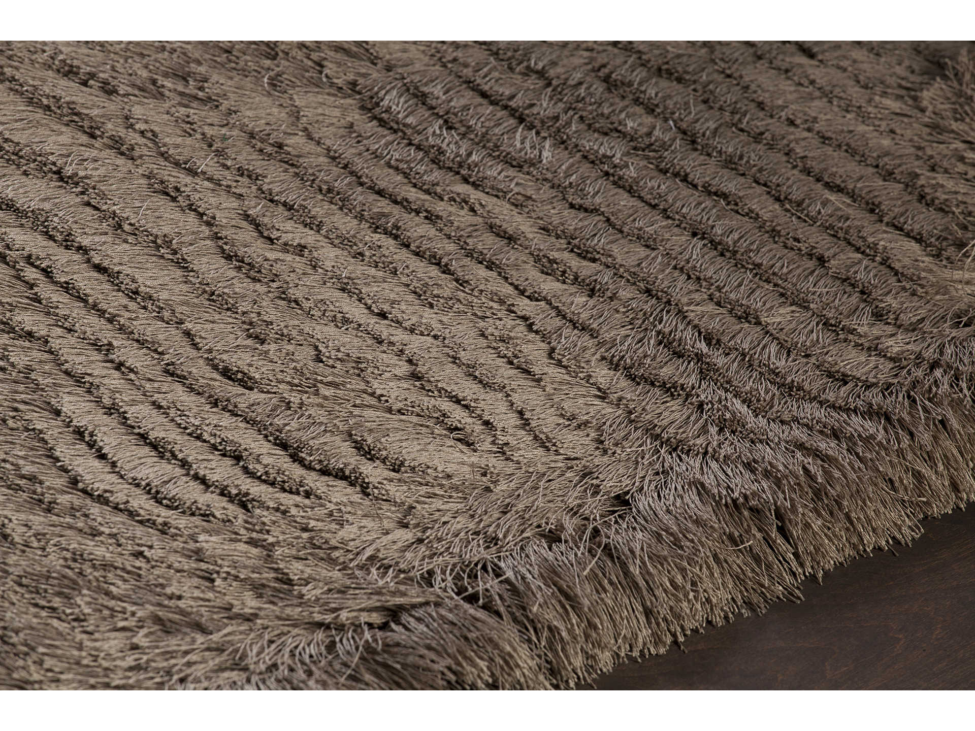 Chandra Elisha Shag Area Rug