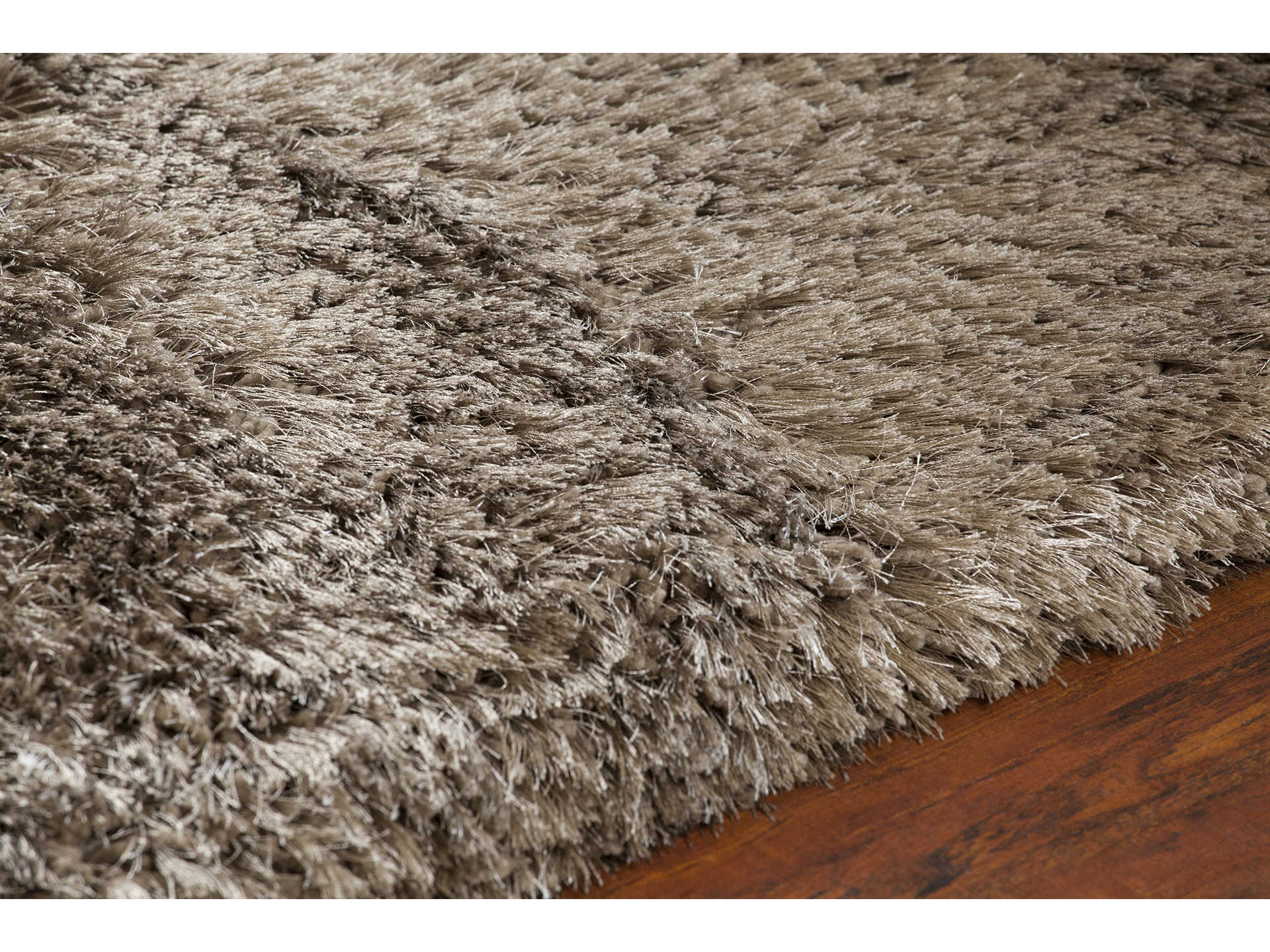 Chandra Giulia Shag Area Rug