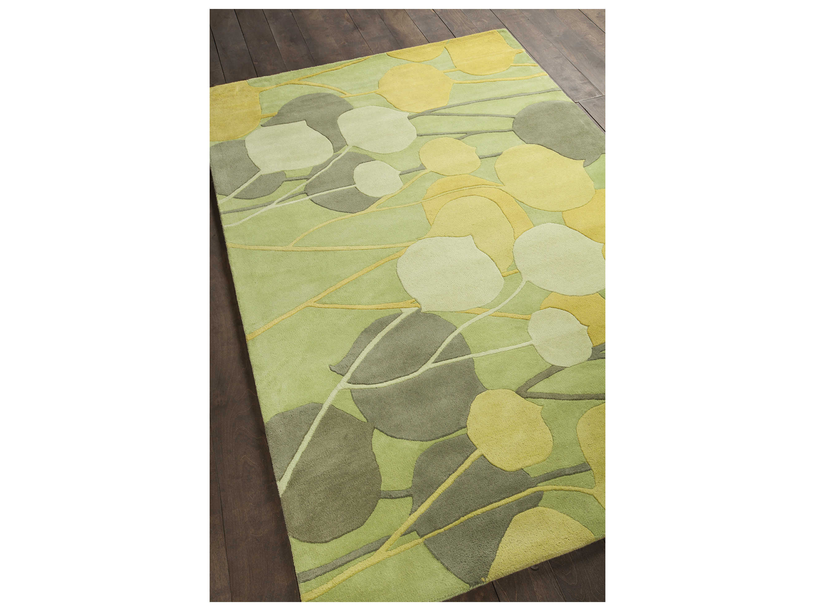 Chandra Inhabit Floral Area Rug