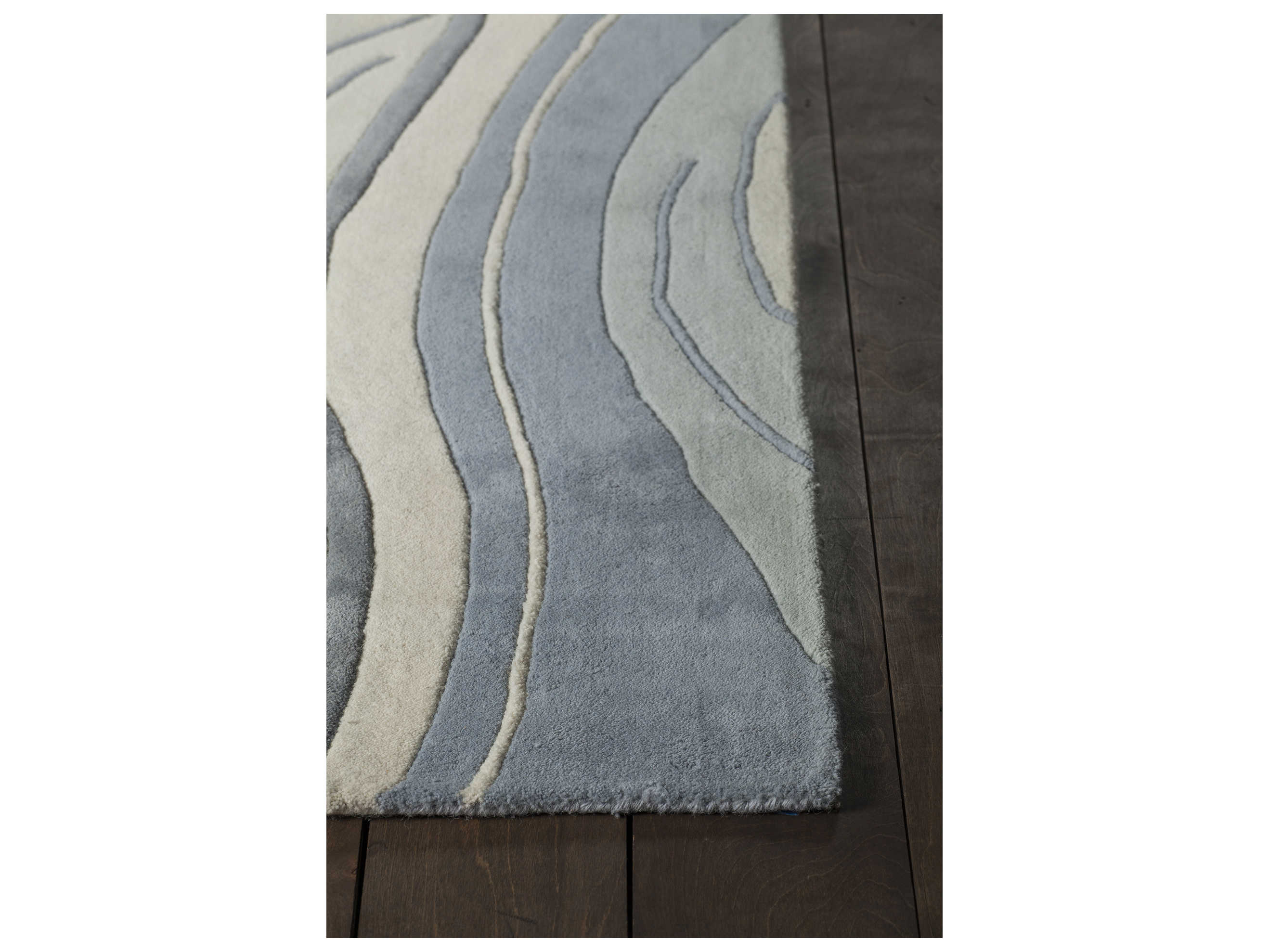 Chandra Inhabit Abstract Area Rug