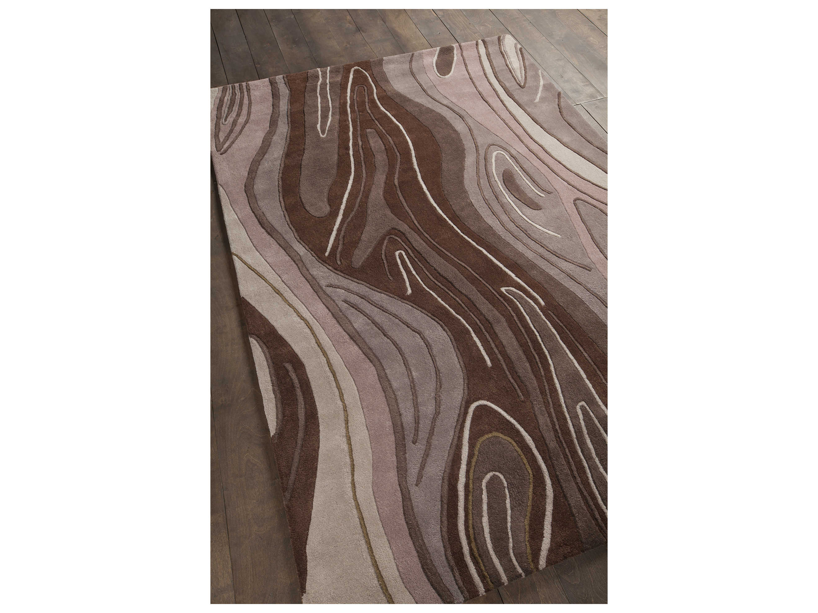 Chandra Inhabit Abstract Area Rug