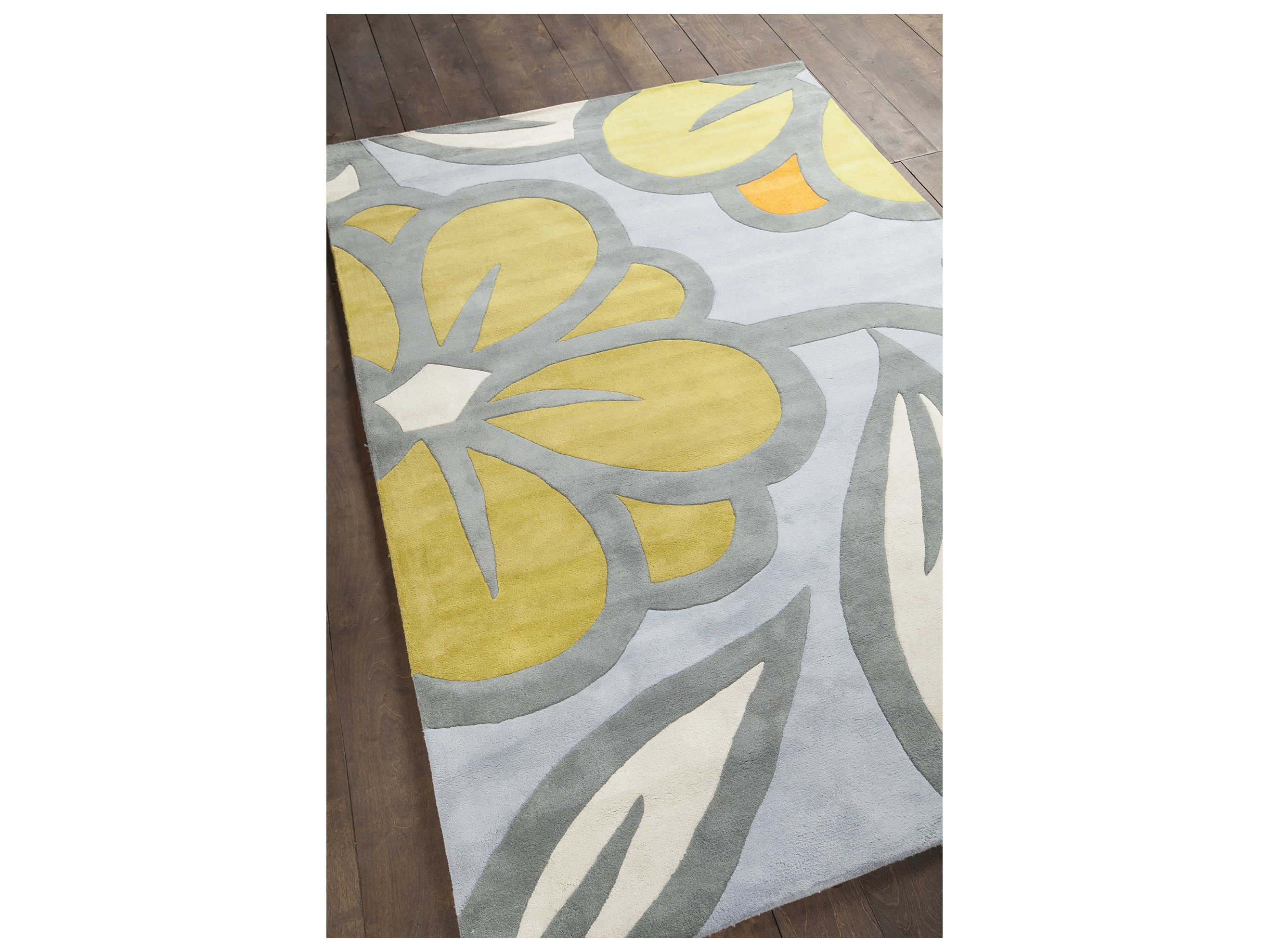 Chandra Inhabit Floral Area Rug