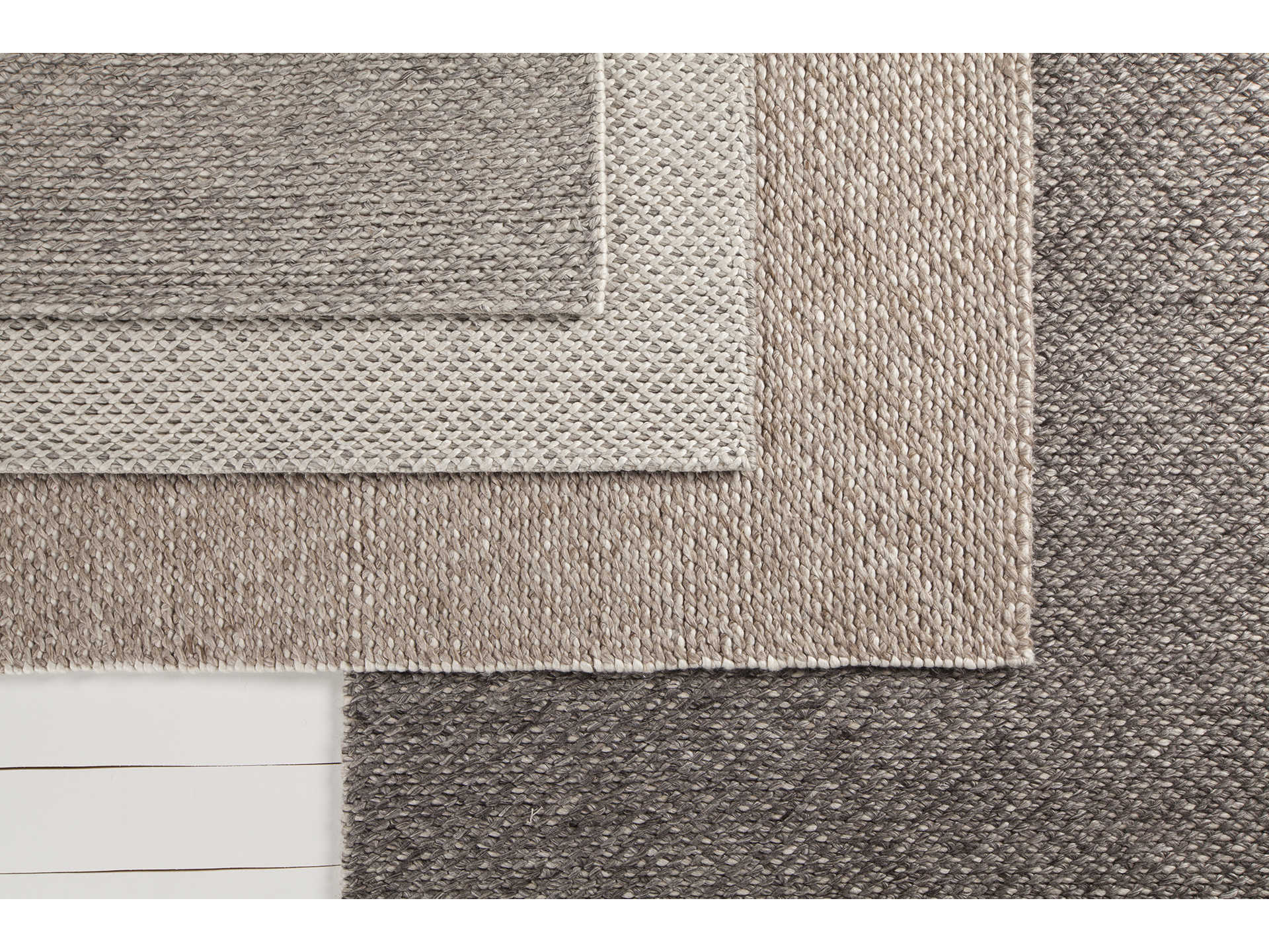 Chandra Ira Area Rug