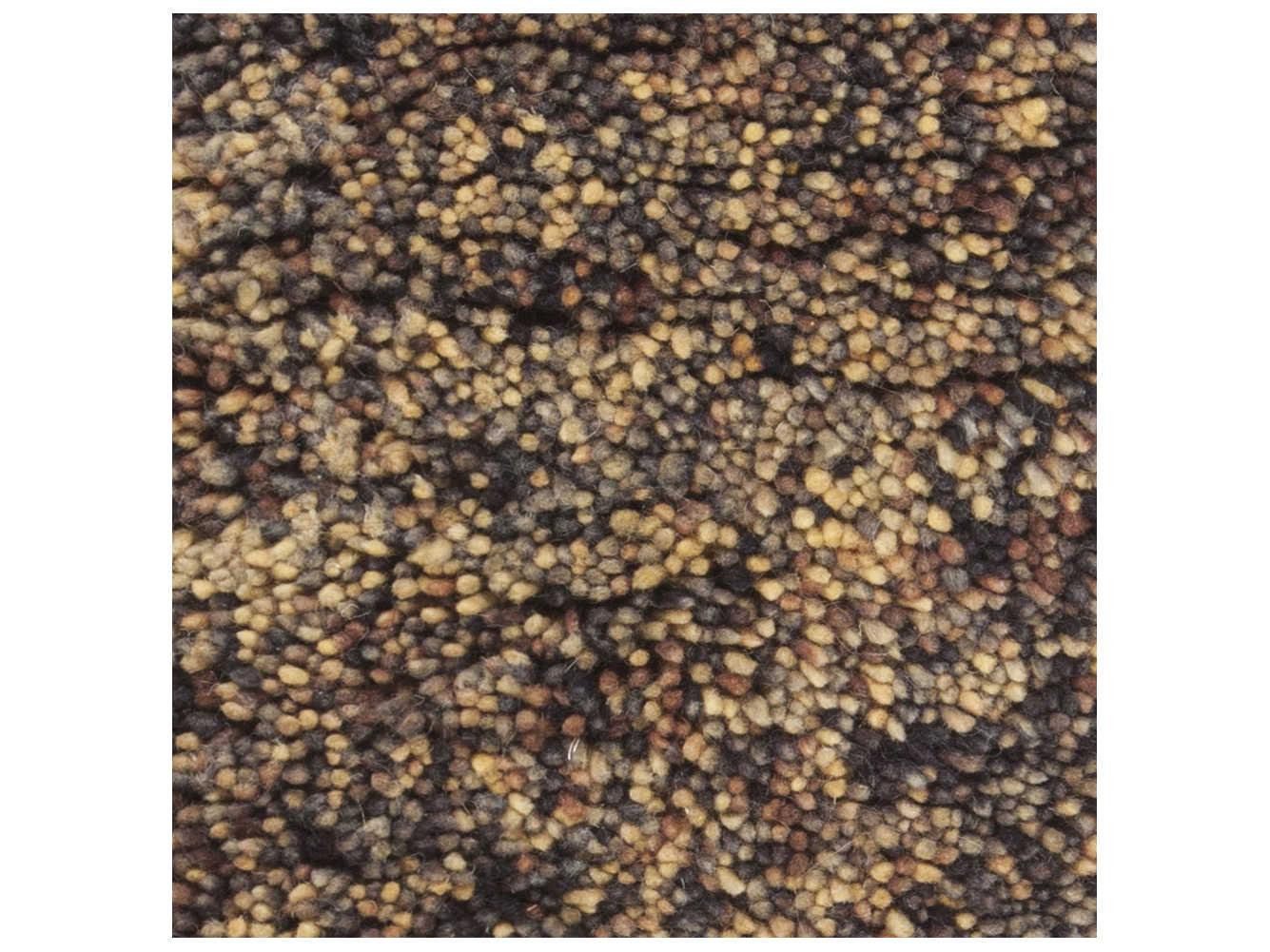 Chandra Izzie Shag Area Rug