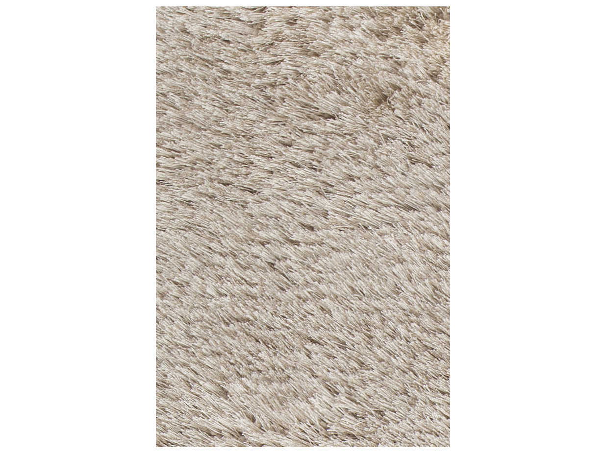 Chandra Joni Shag Area Rug