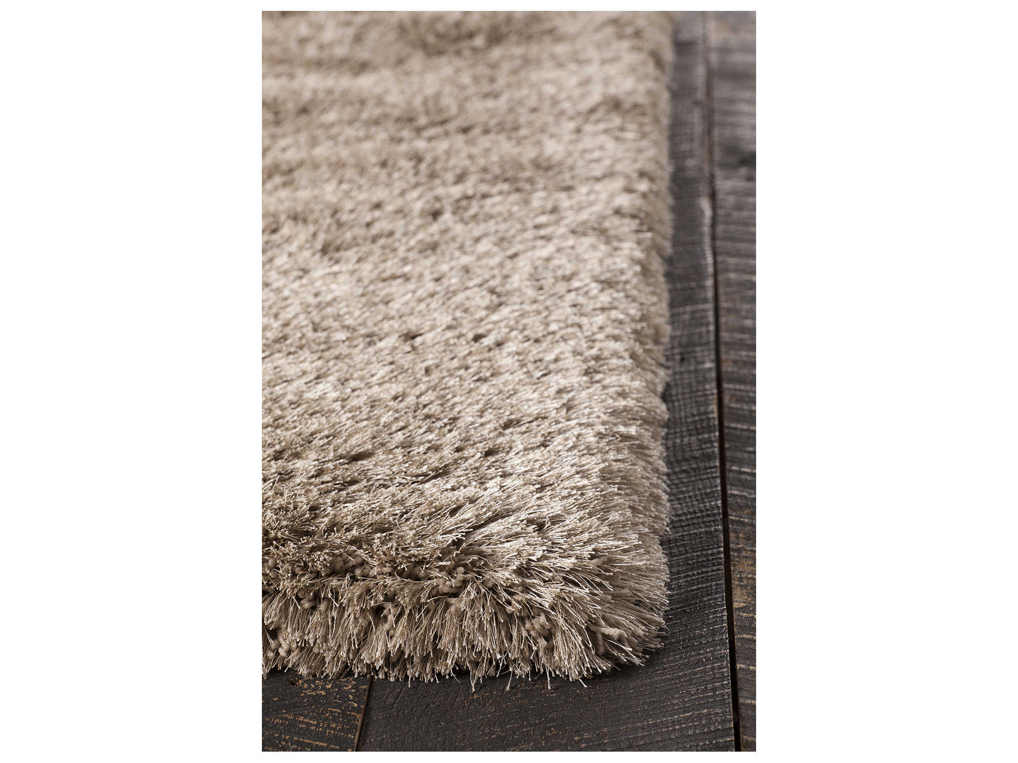 Chandra Joni Shag Area Rug