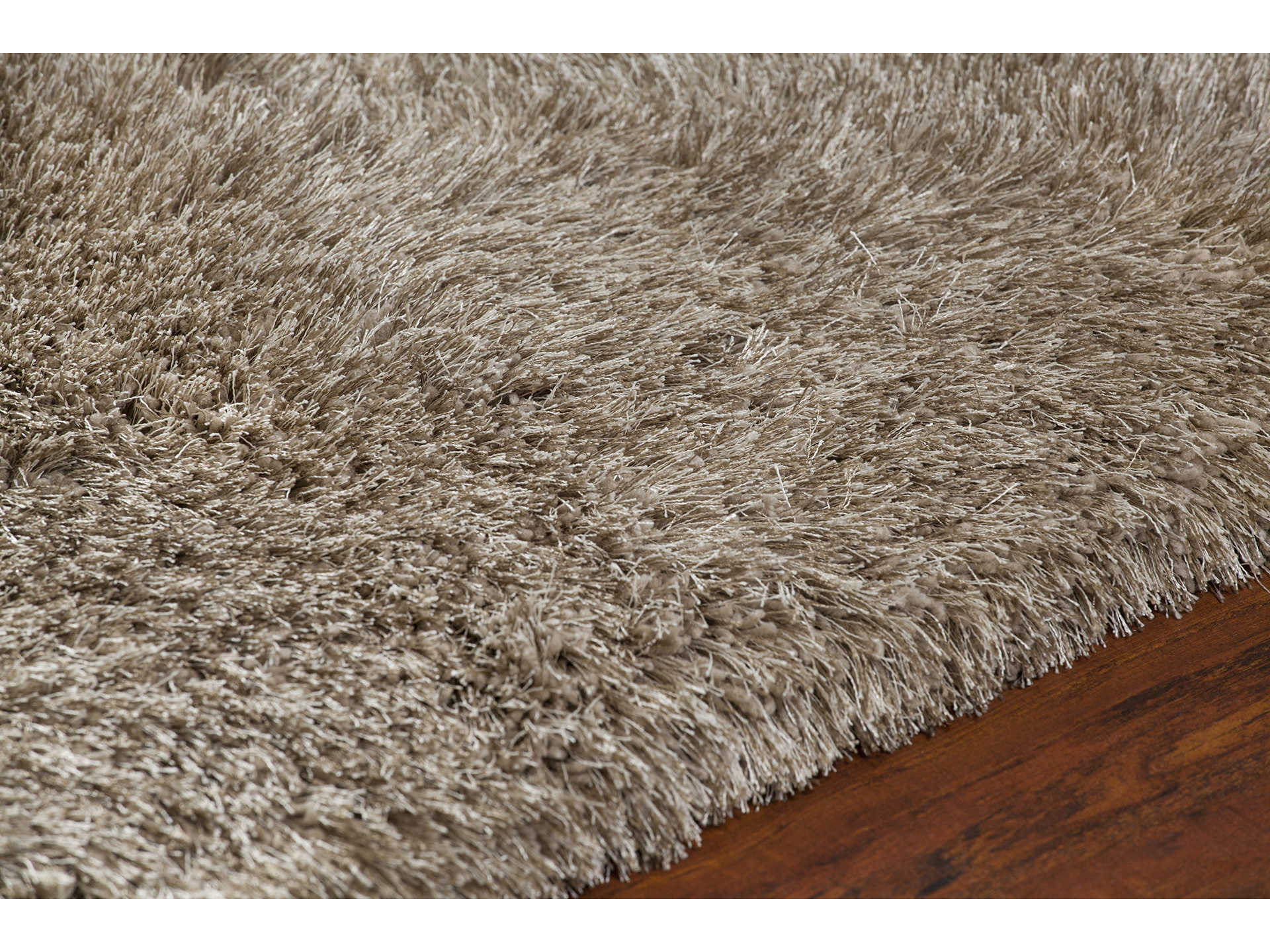 Chandra Joni Shag Area Rug