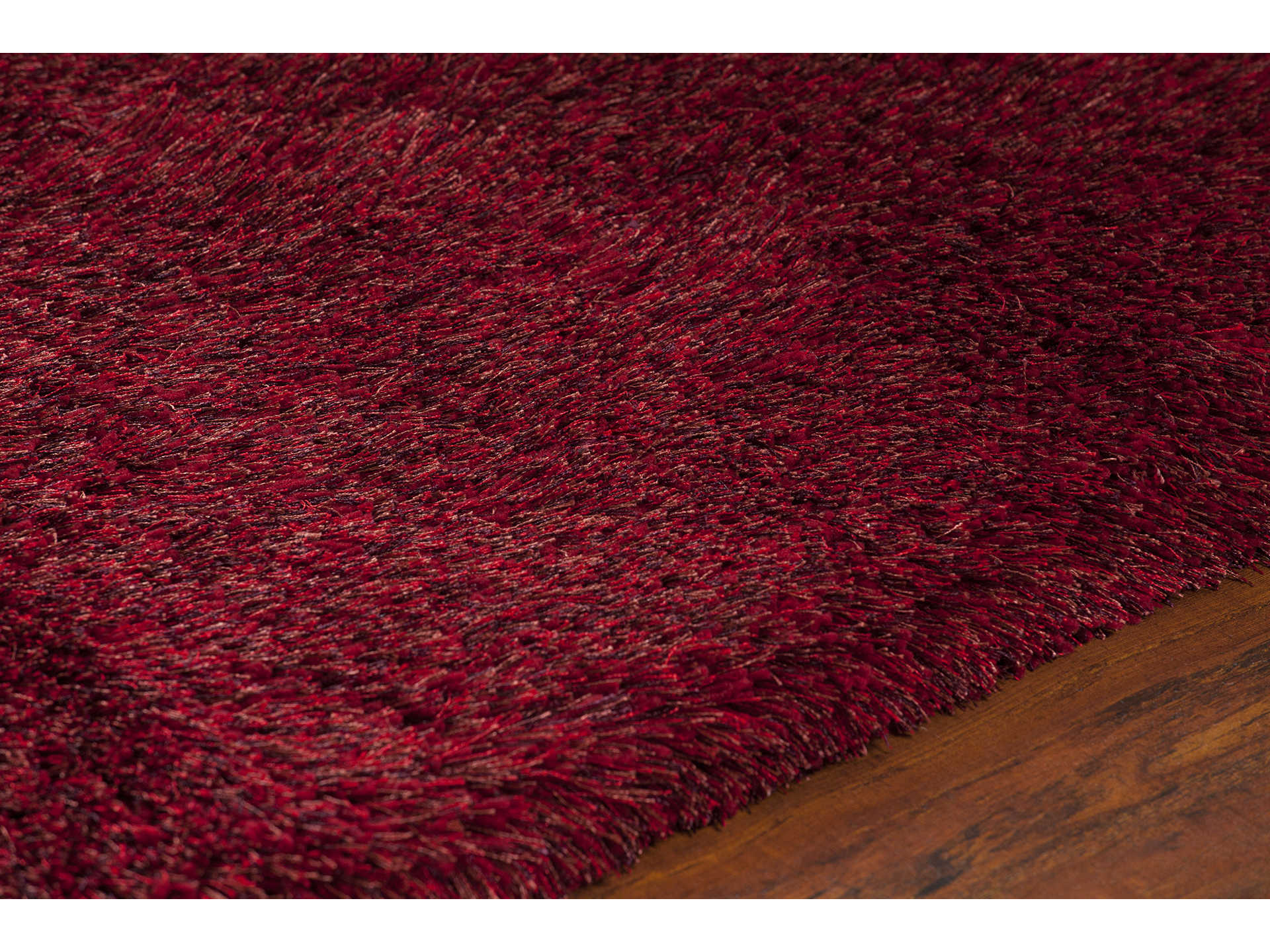 Chandra Joni Shag Area Rug