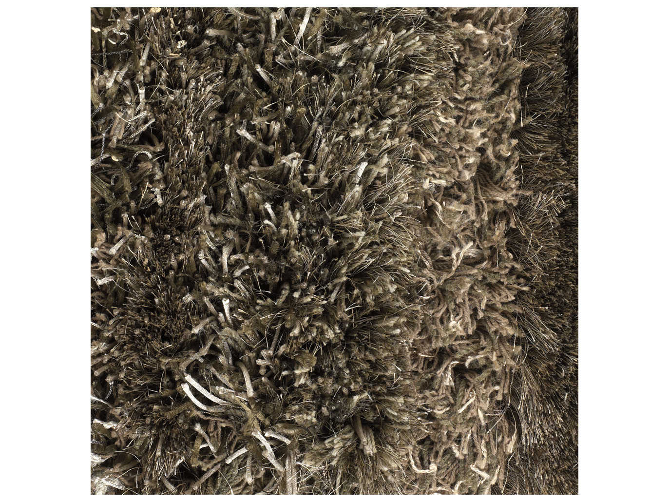 Chandra Kapaa Shag Striped Area Rug