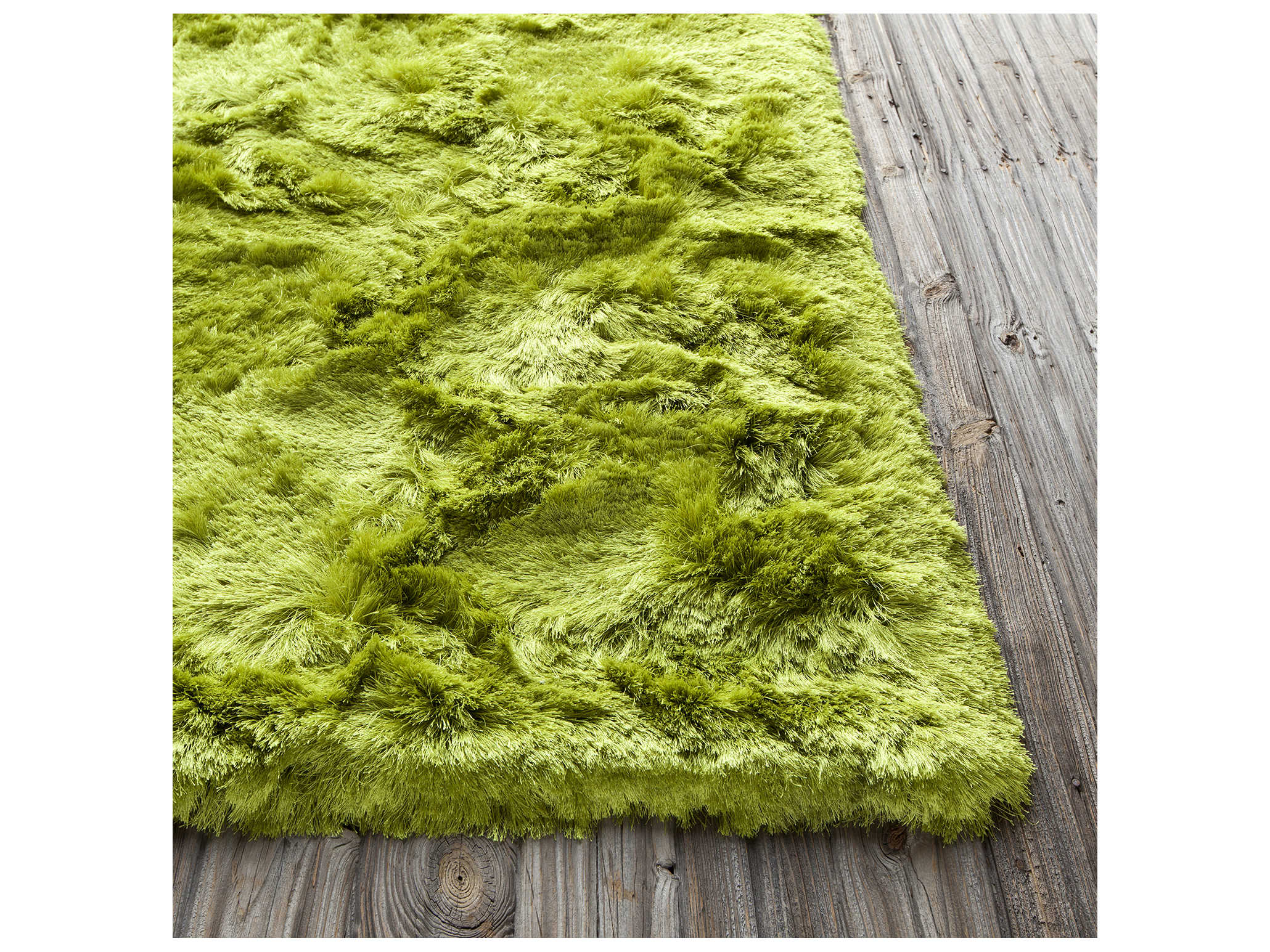 Chandra Naya Shag Area Rug