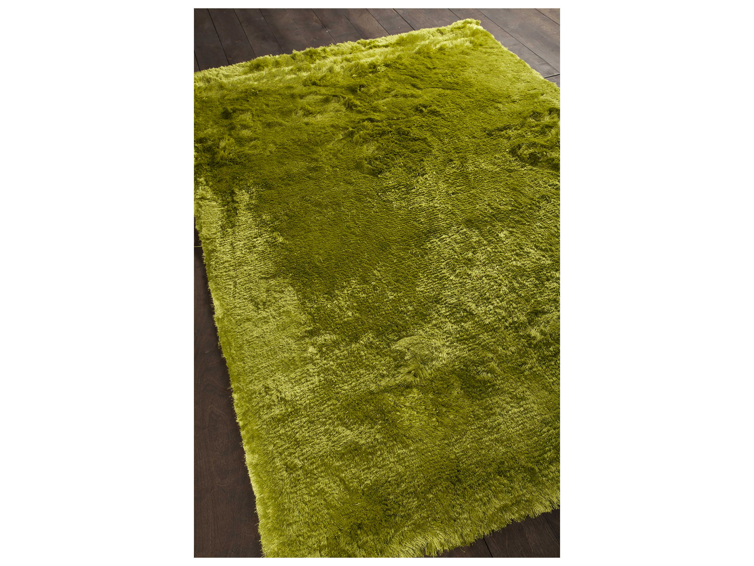 Chandra Naya Shag Area Rug