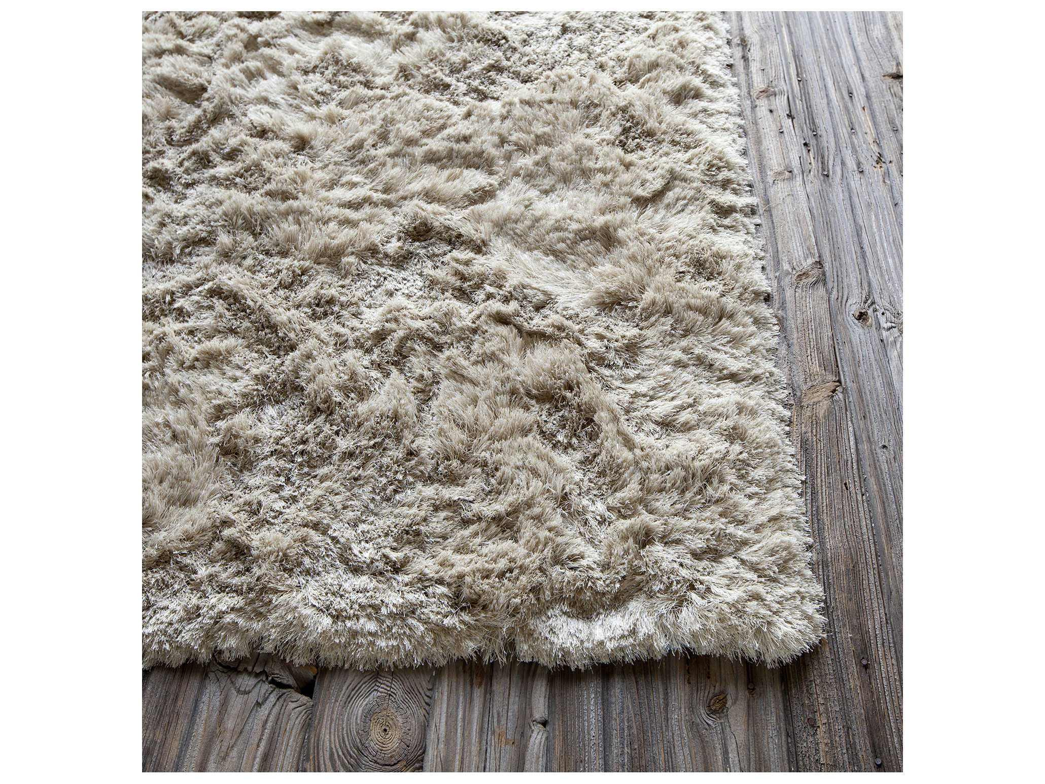 Chandra Naya Shag Area Rug