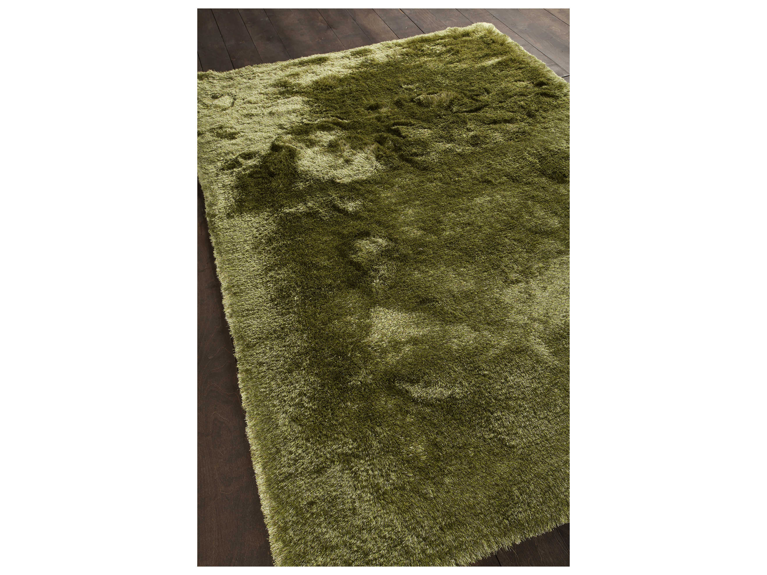 Chandra Naya Shag Area Rug