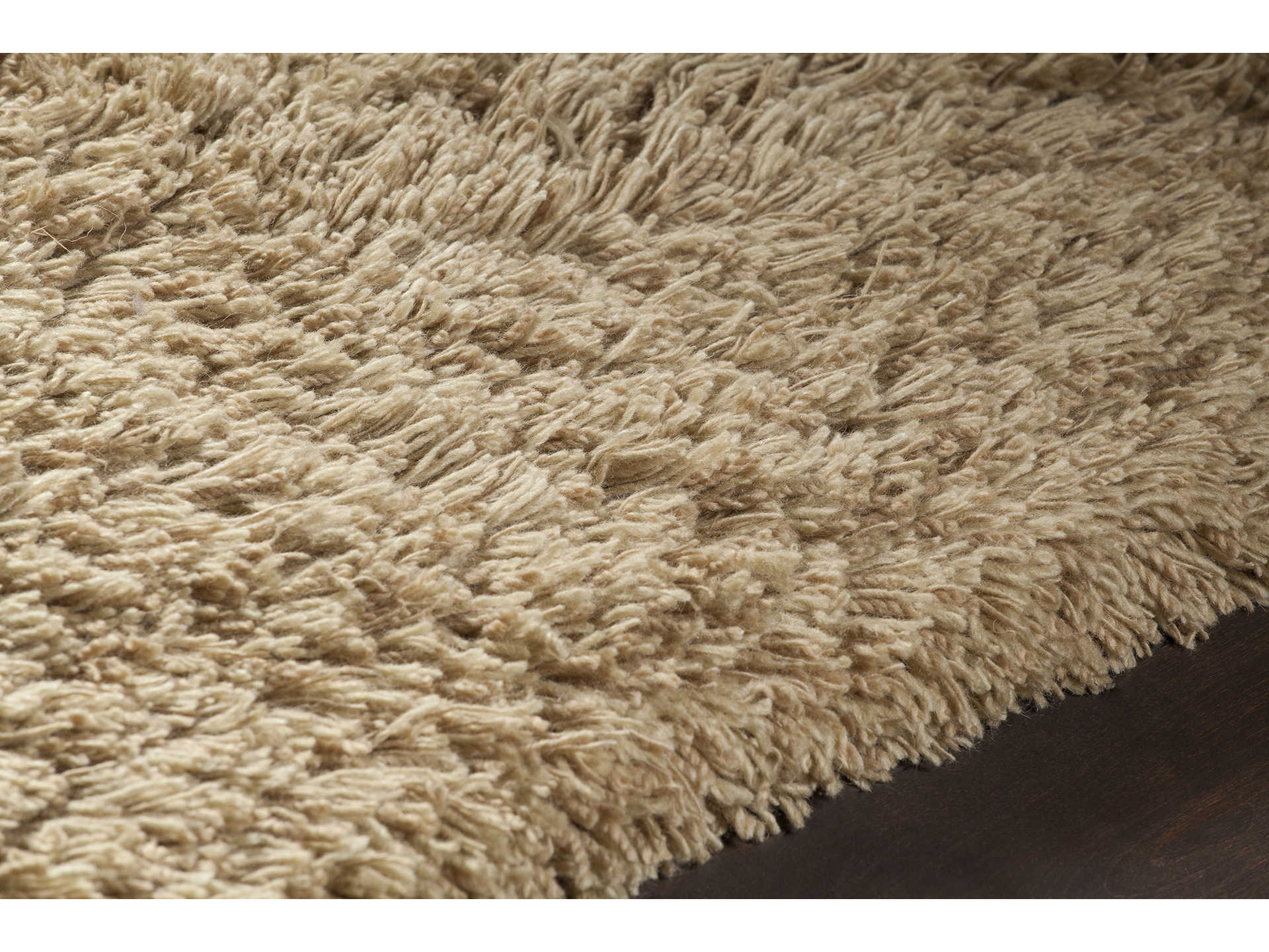 Chandra Noely Shag Area Rug