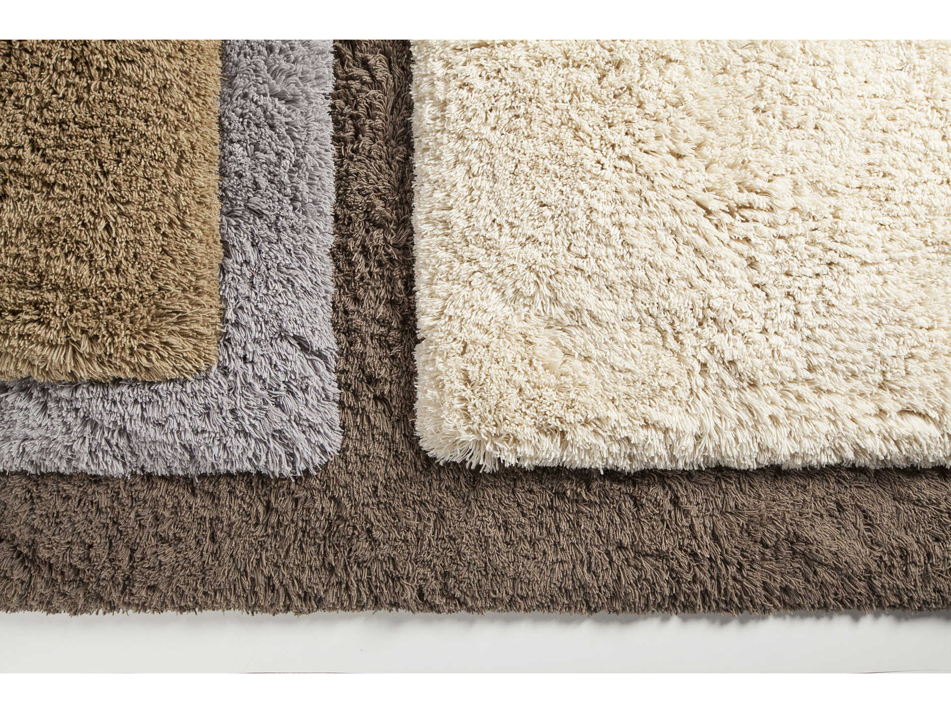 Chandra Noely Shag Area Rug