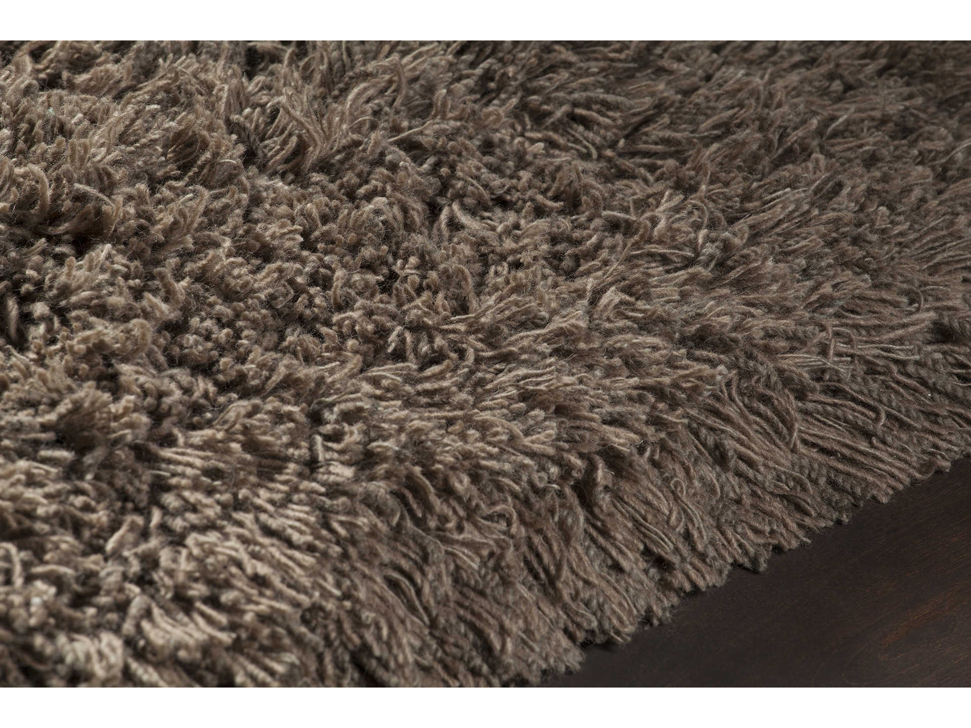 Chandra Noely Shag Area Rug