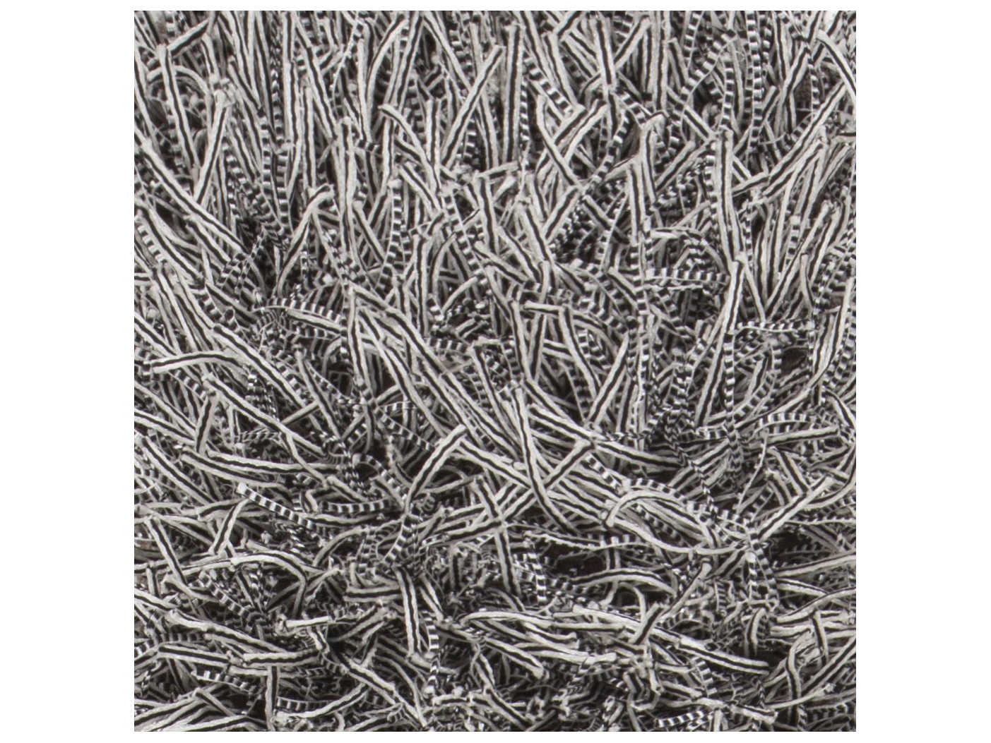 Chandra Nora Shag Area Rug