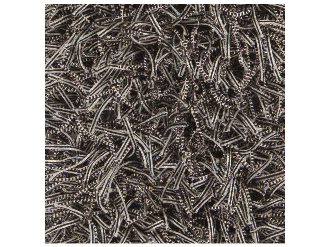 Chandra Nora Shag Area Rug