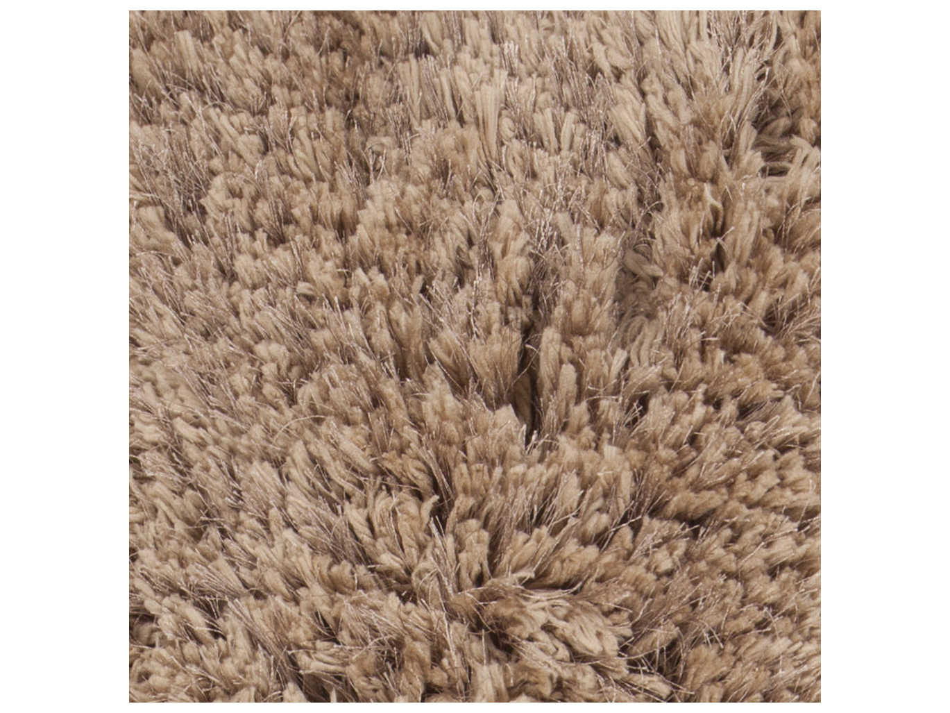 Chandra Oona Shag Area Rug