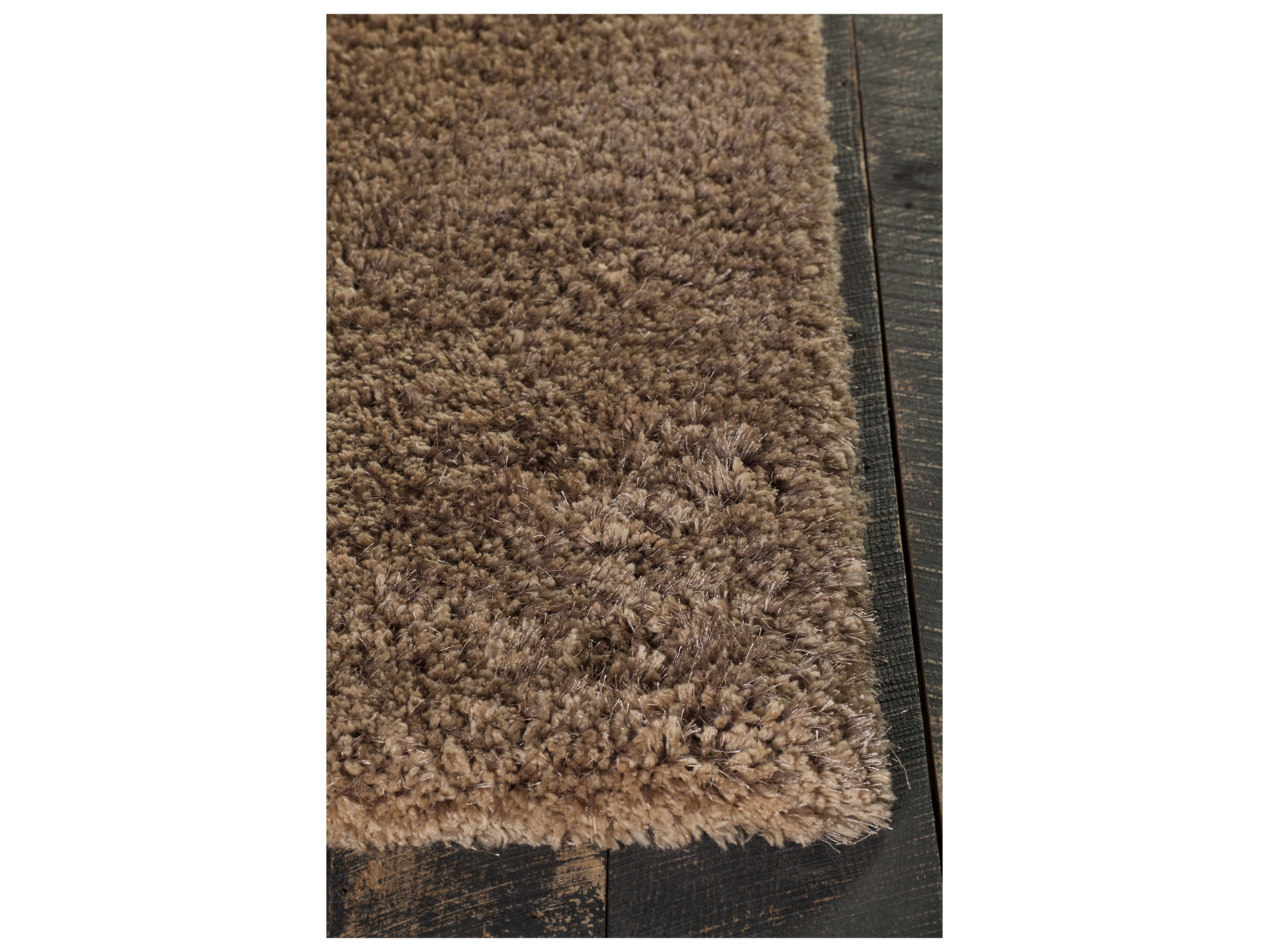 Chandra Oona Shag Area Rug