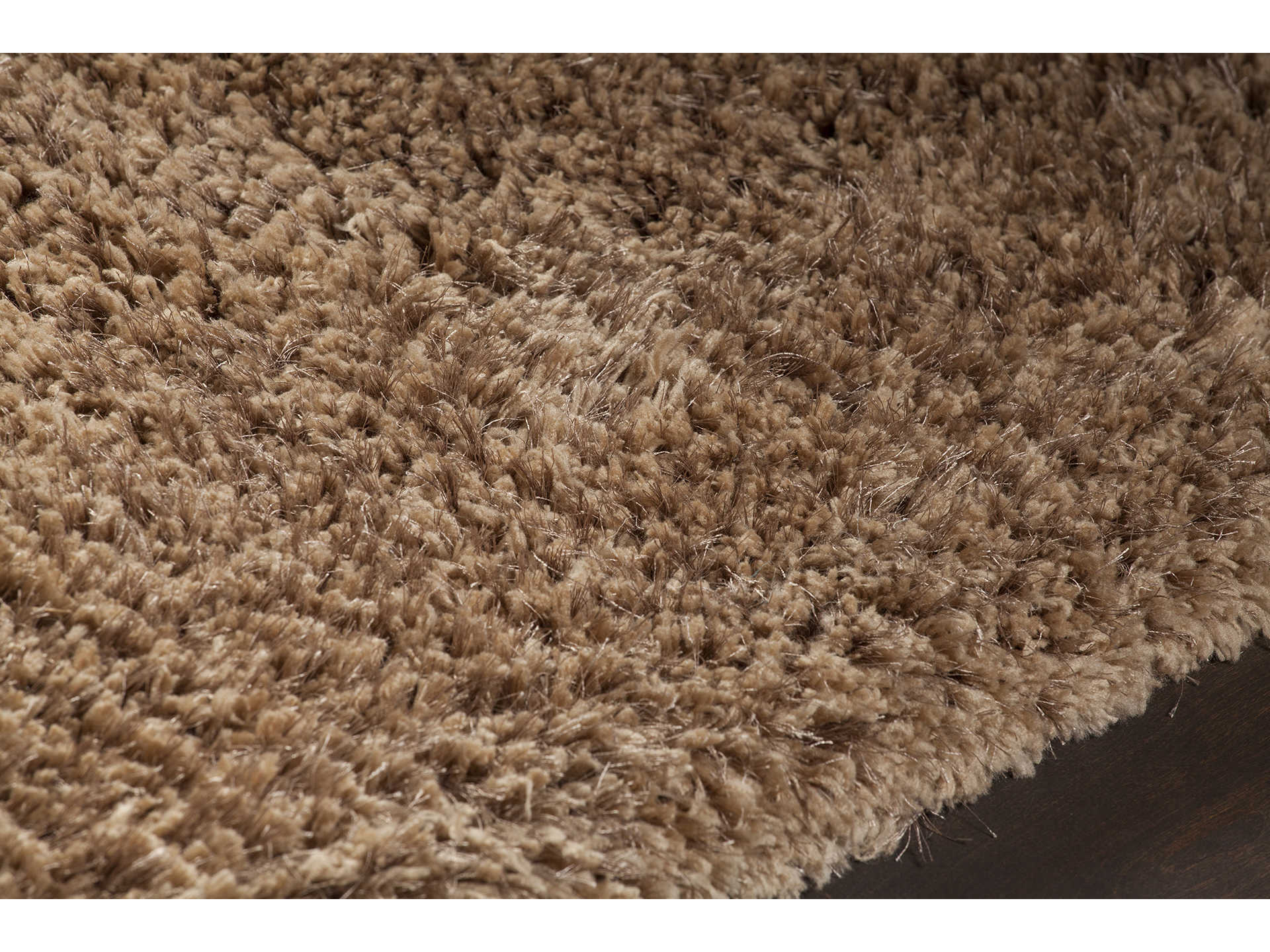 Chandra Oona Shag Area Rug