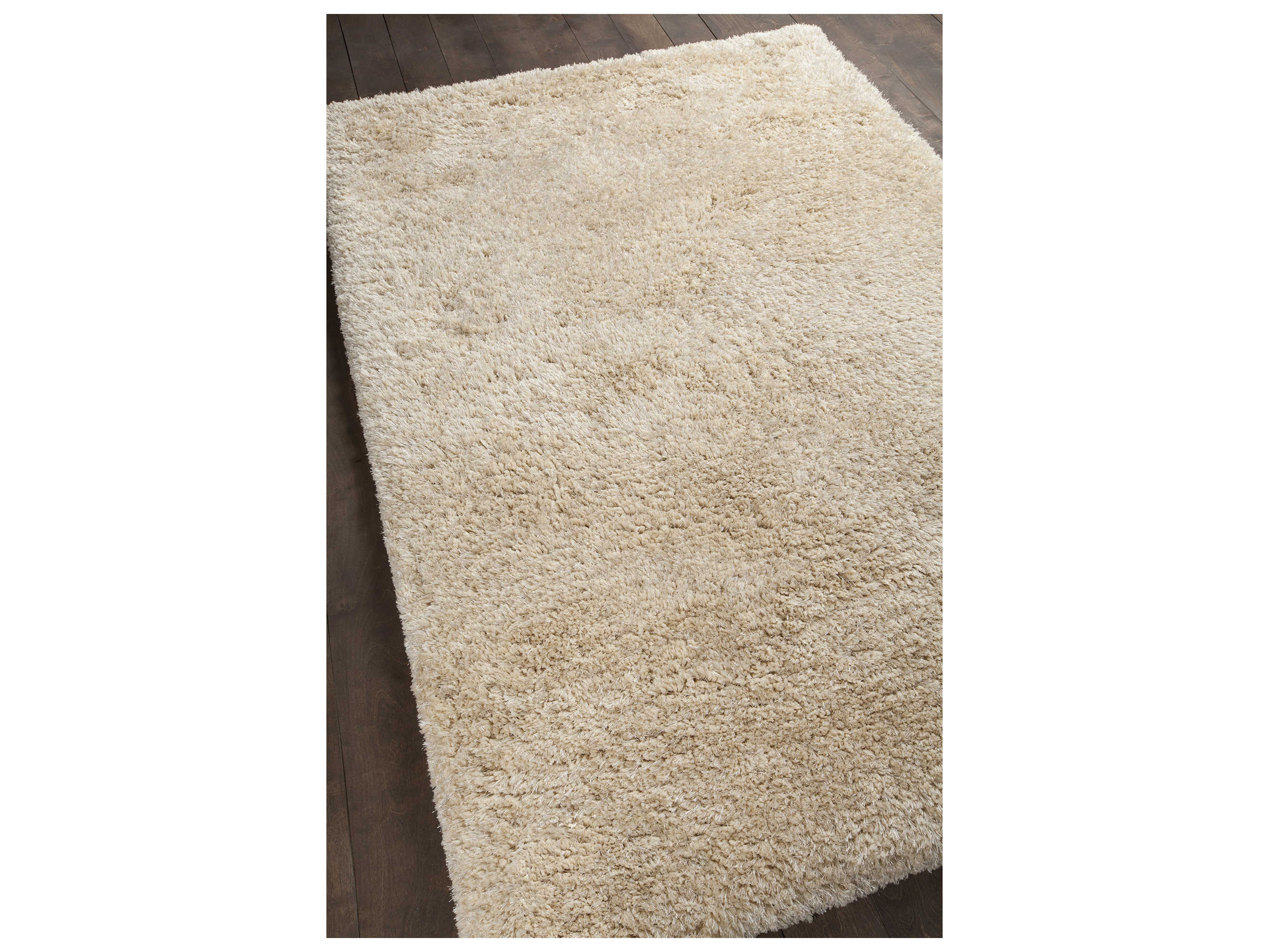 Chandra Osim Shag Area Rug