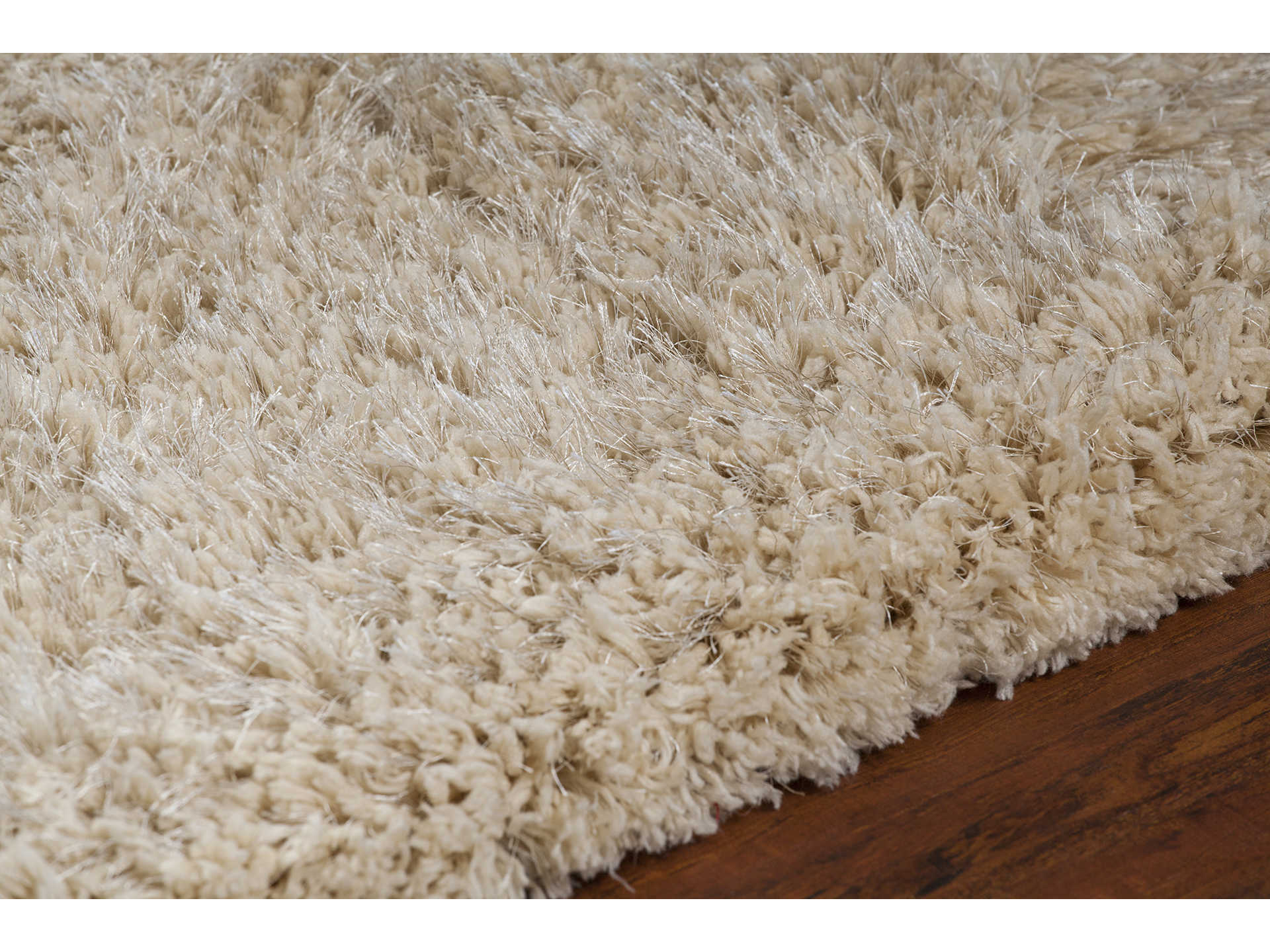 Chandra Osim Shag Area Rug