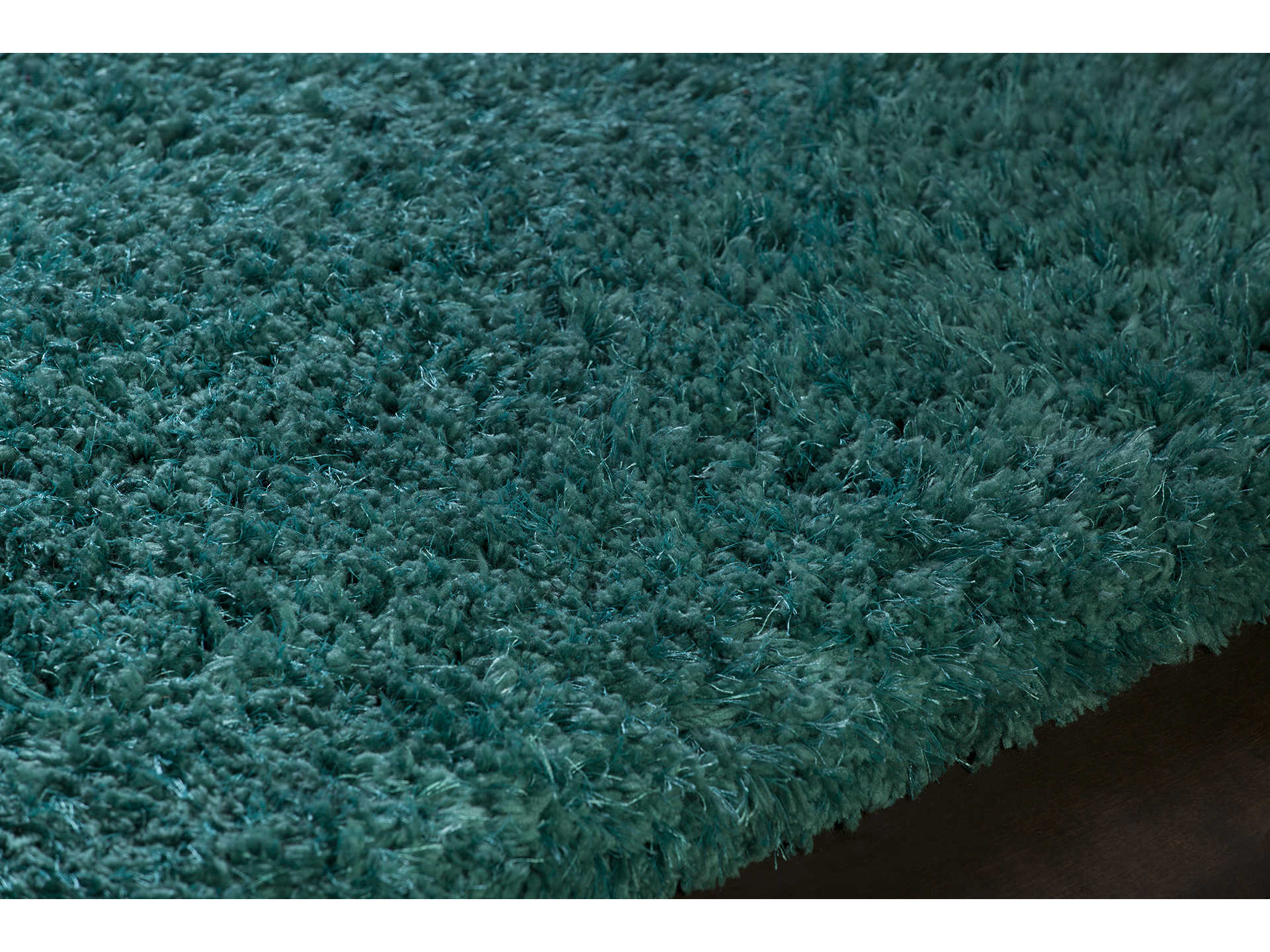 Chandra Osim Shag Area Rug