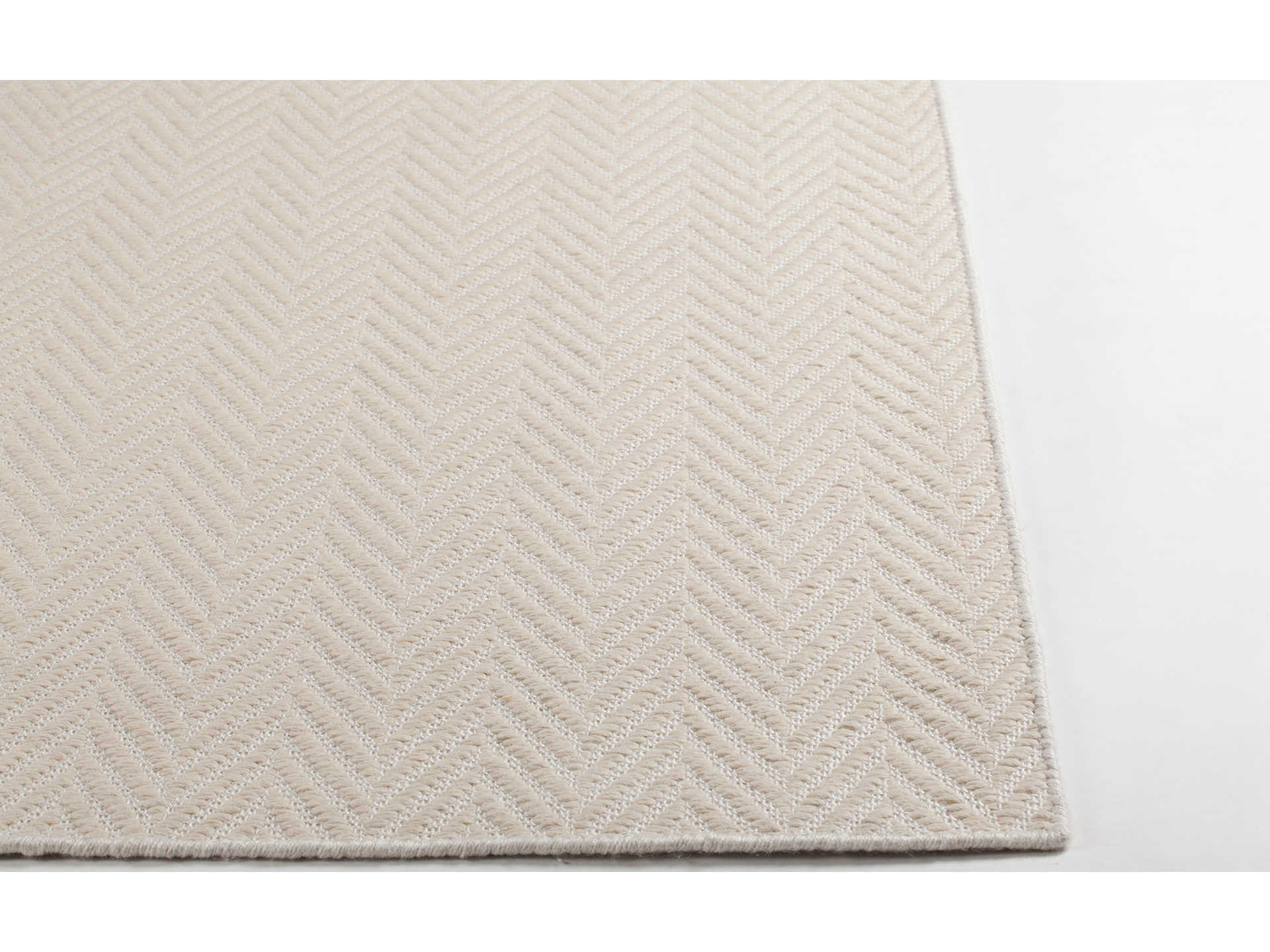 Chandra Paisley Chevron Area Rug