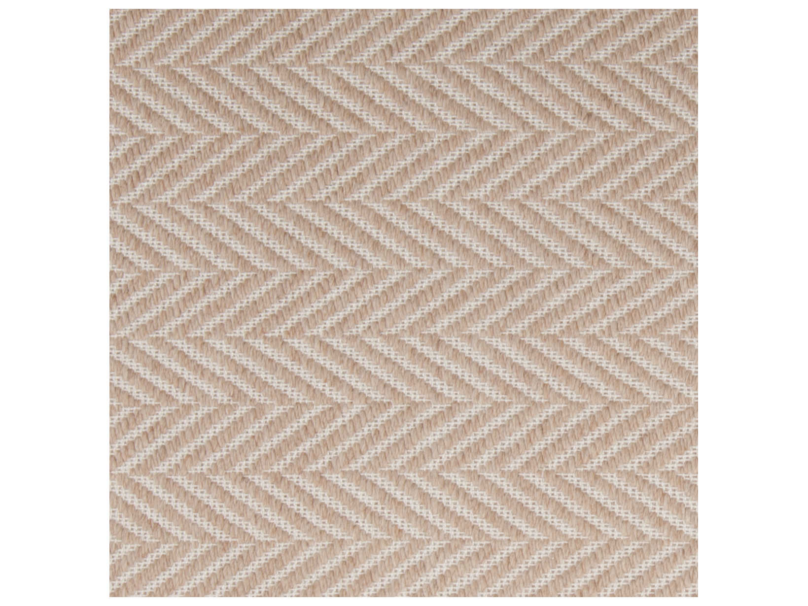 Chandra Paisley Chevron Area Rug