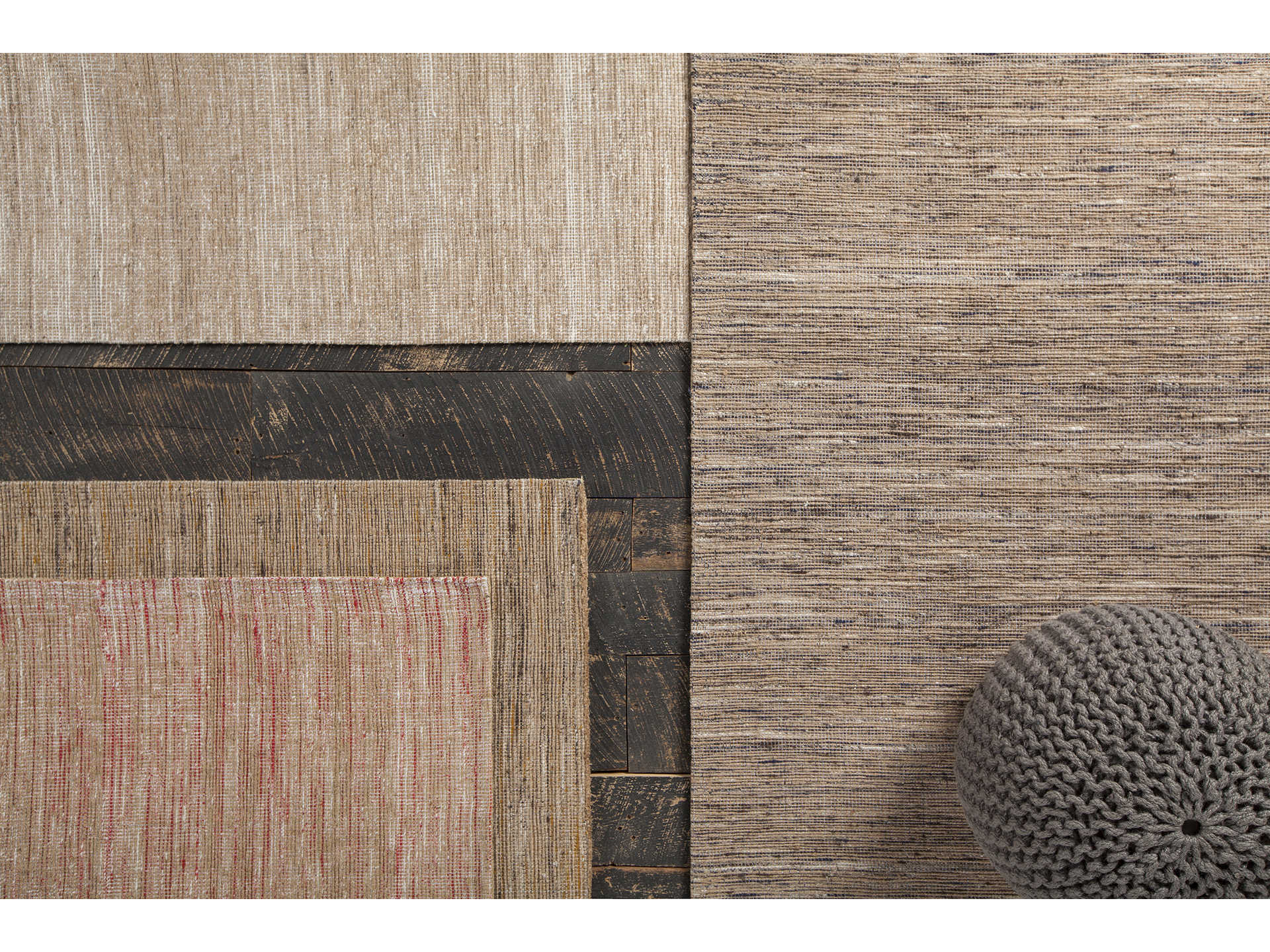 Chandra Pretor Area Rug