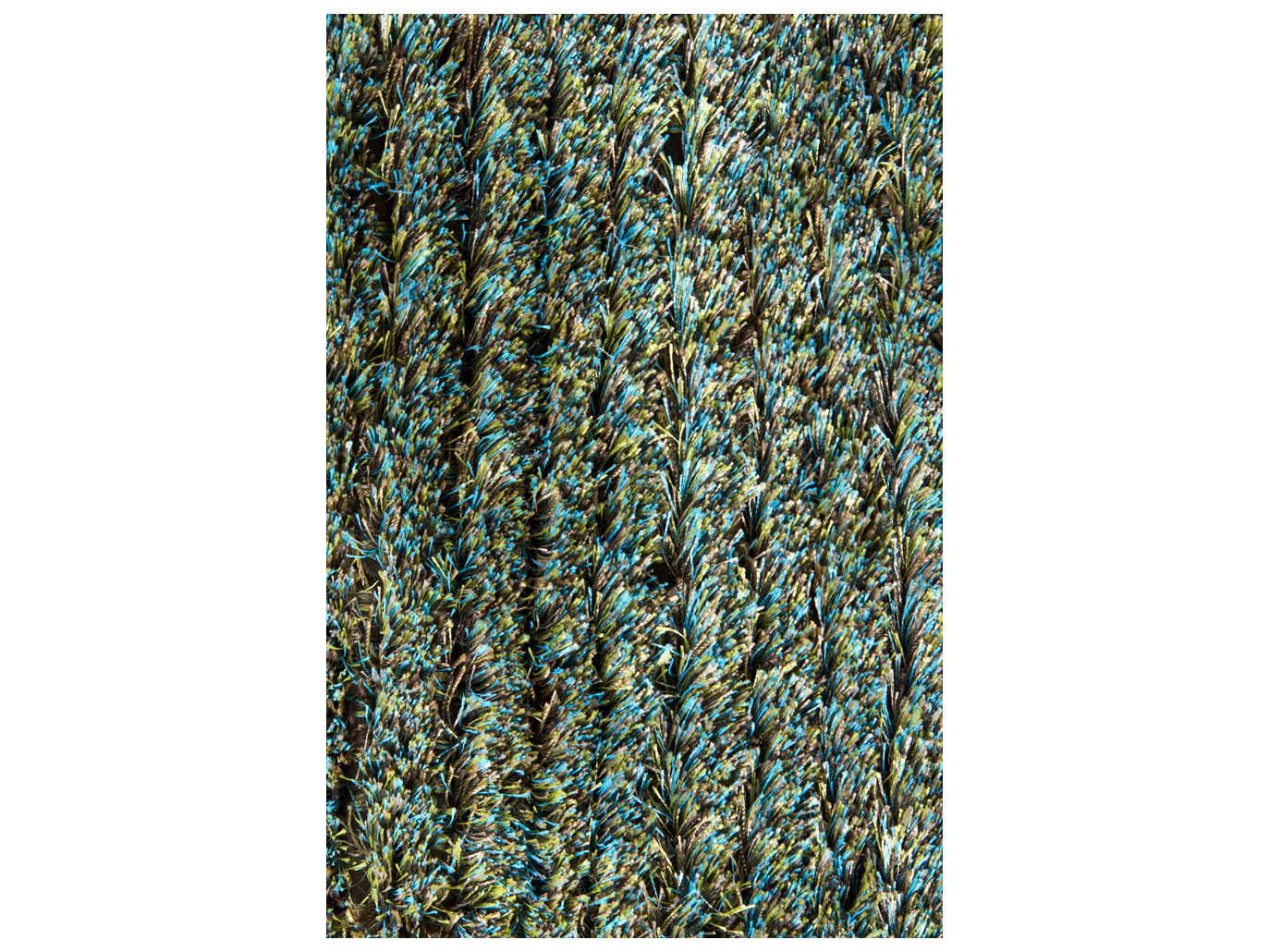 Chandra Royal Shag Area Rug