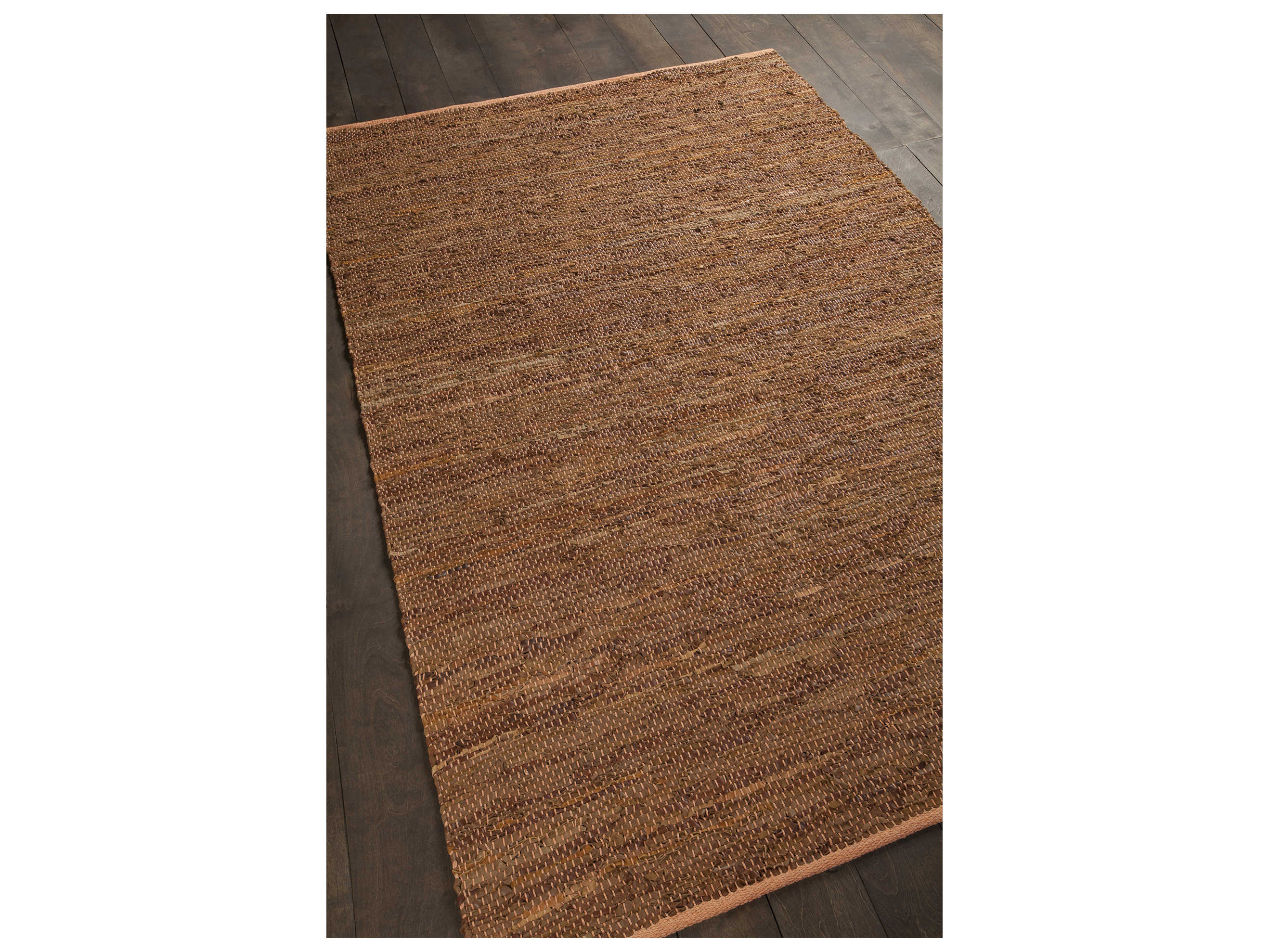 Chandra Saket Area Rug