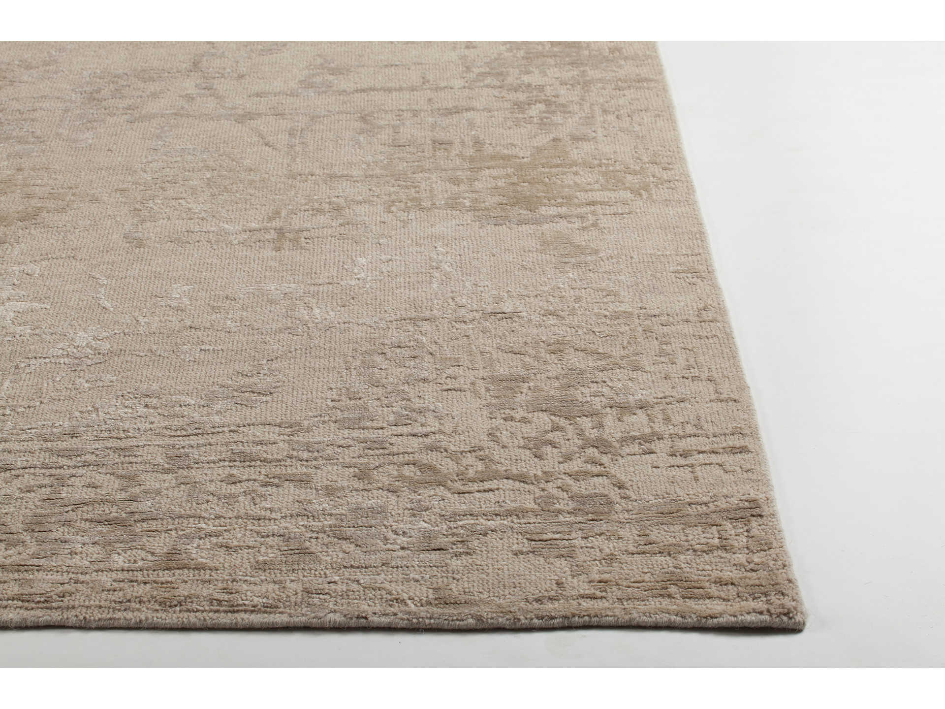 Chandra Sasha Bordered Area Rug